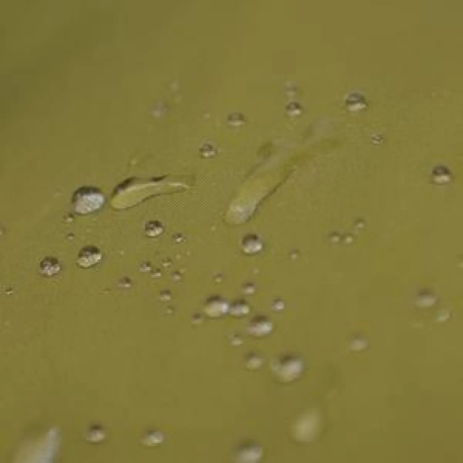  - Gear Aid Revivex Wash-In Water Repellent
