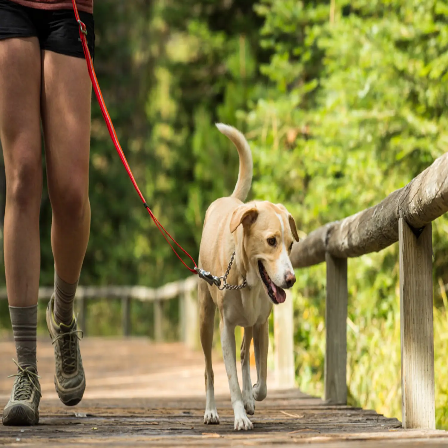  - Ruffwear Chain Reaction™