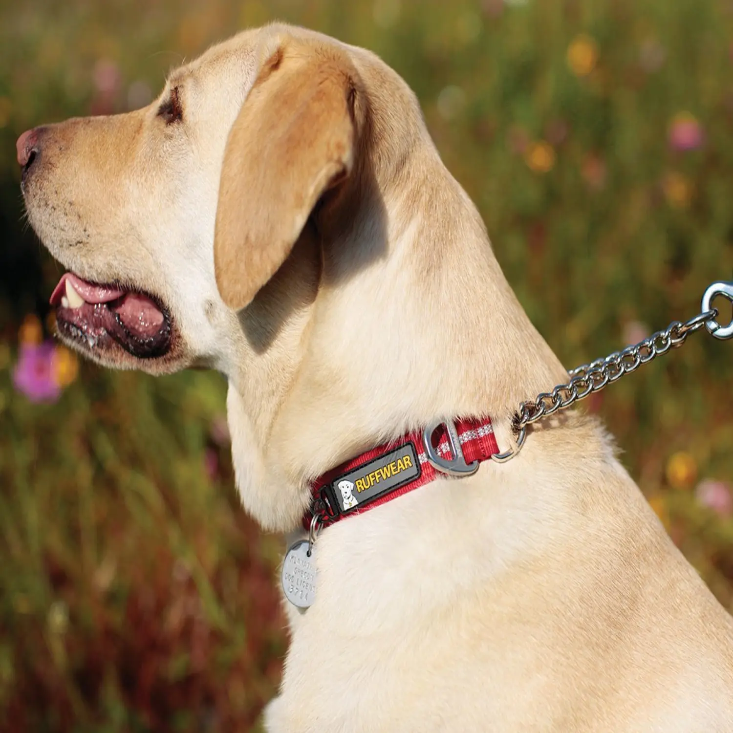  - Ruffwear Chain Reaction™