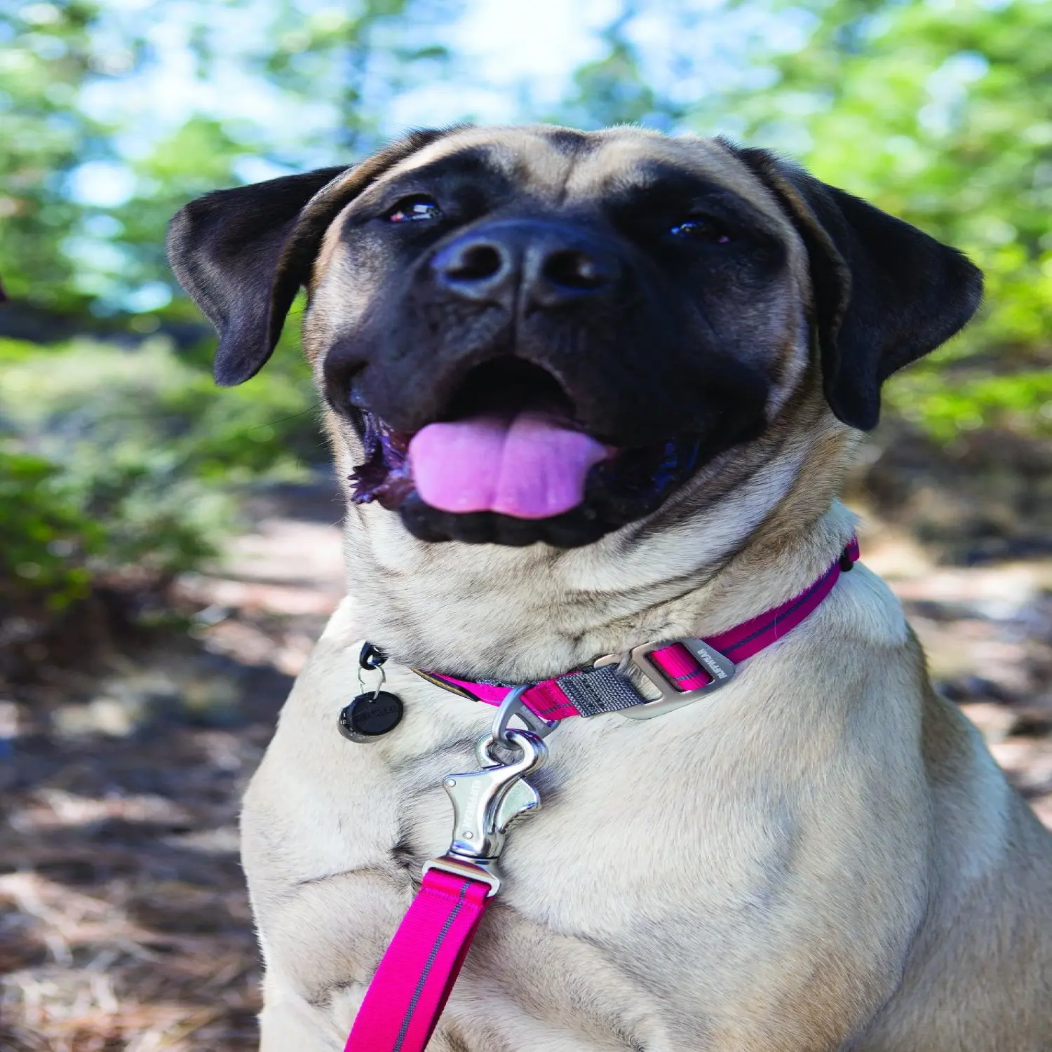  - Ruffwear Crag™ Collar