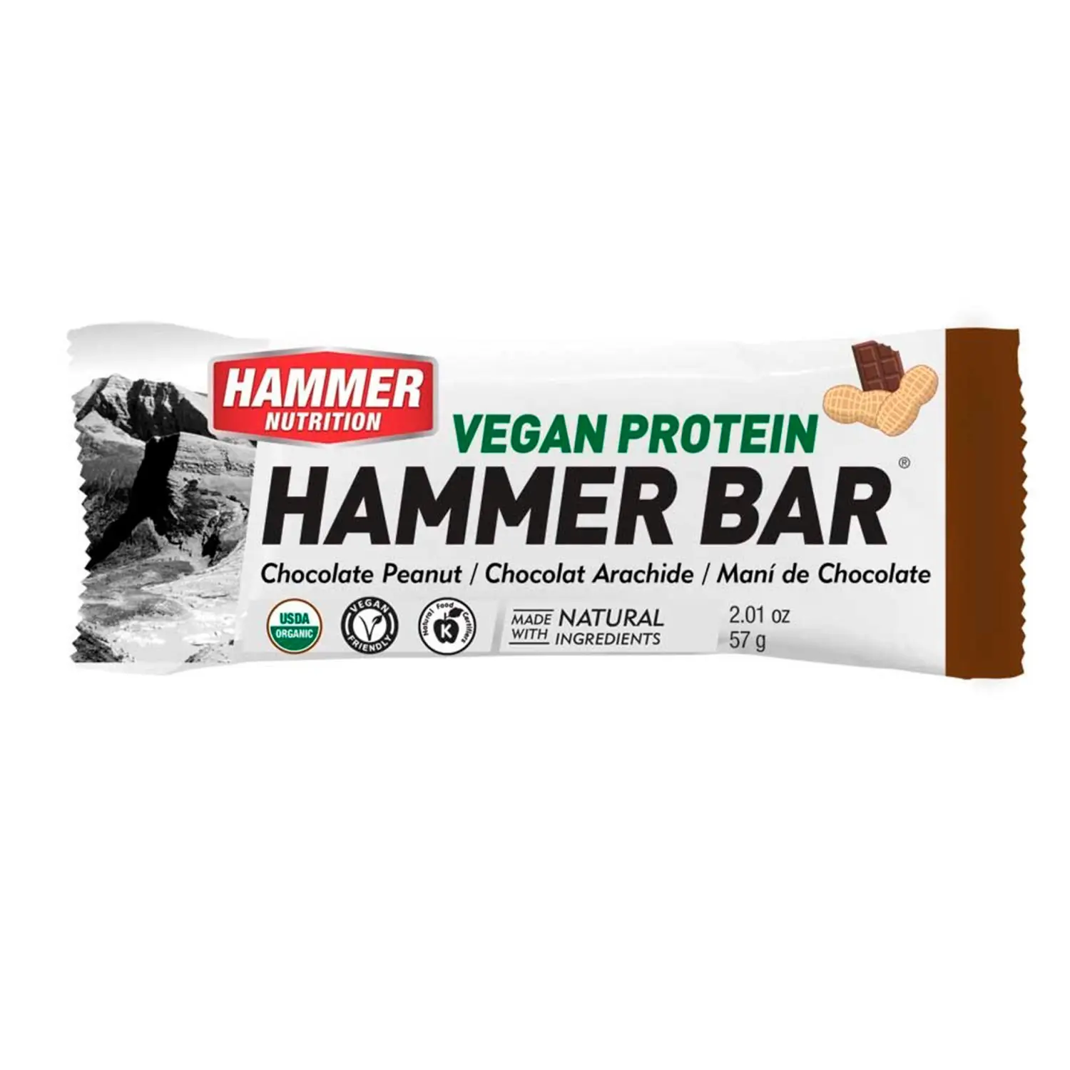 chocolate peanut - Hammer Nutrition Vegan Protein Recovery Bar