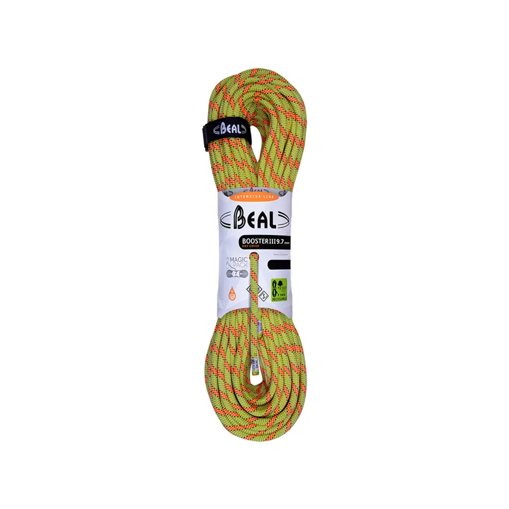 Anis