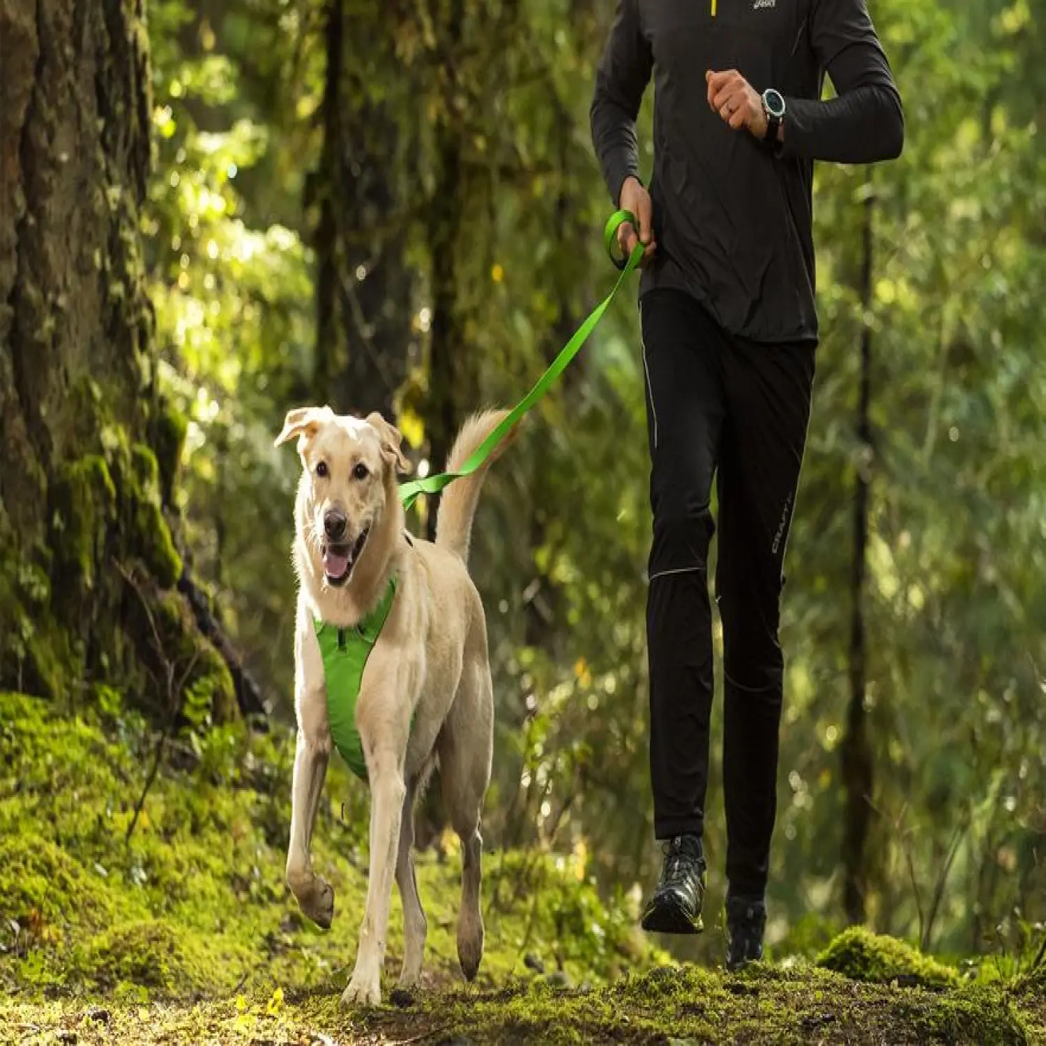 - Ruffwear Front Range Leash