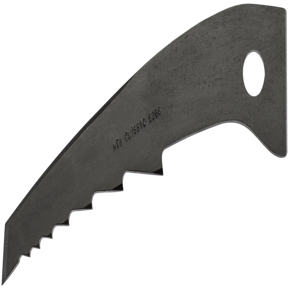 Black Diamond Mountain Classic Pick