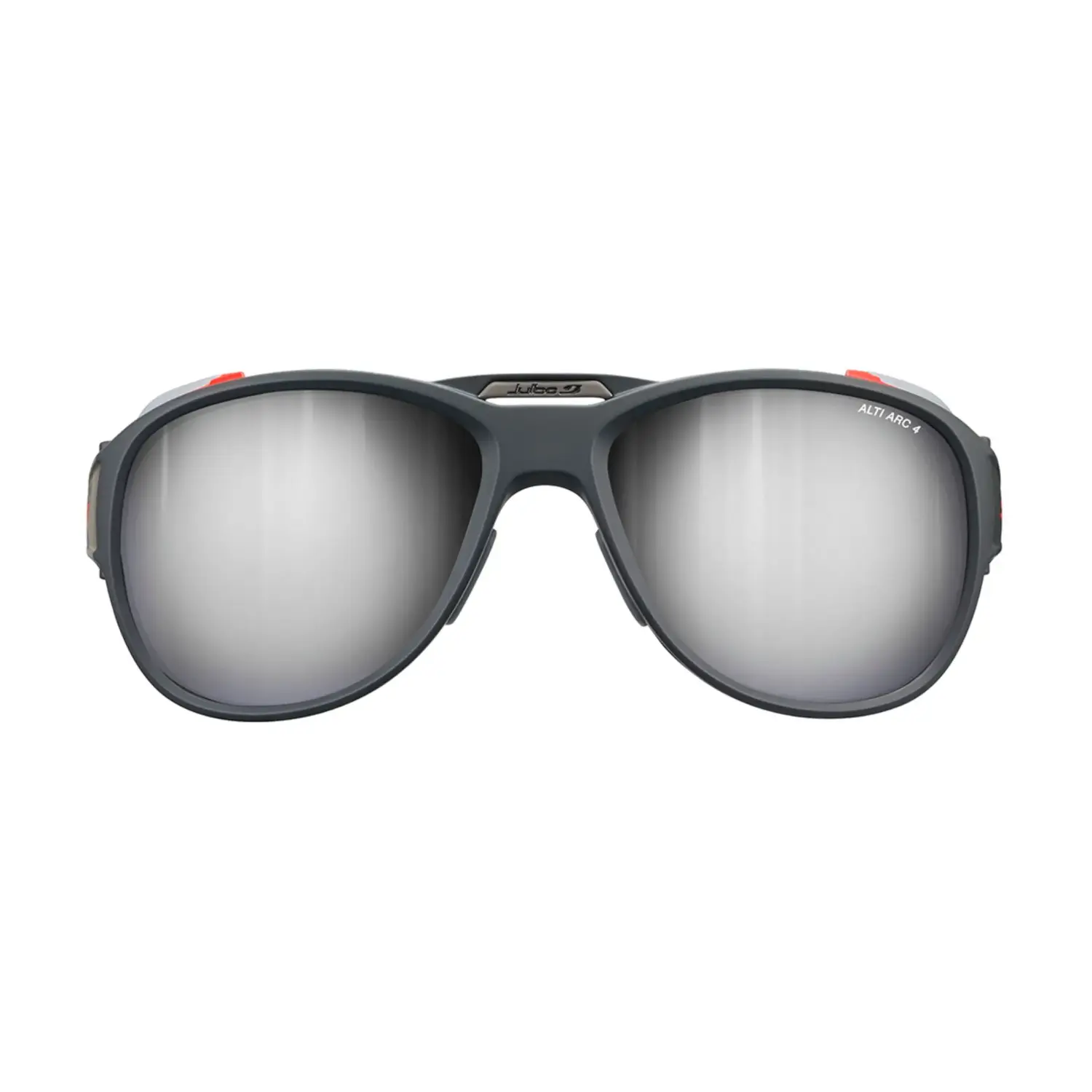 gris - Julbo Explorer 2.0 Alti Arc 4