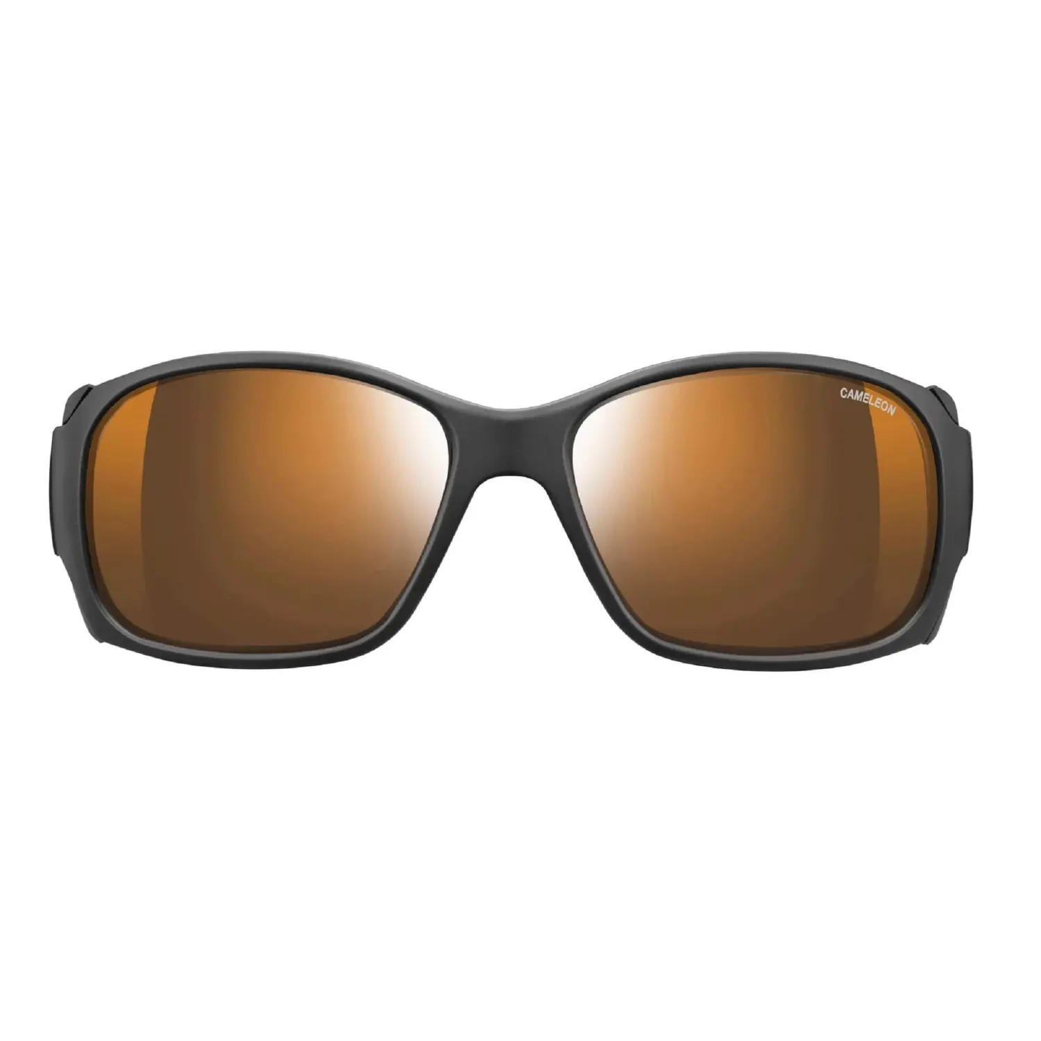  - Julbo Monterosa Reactive HM