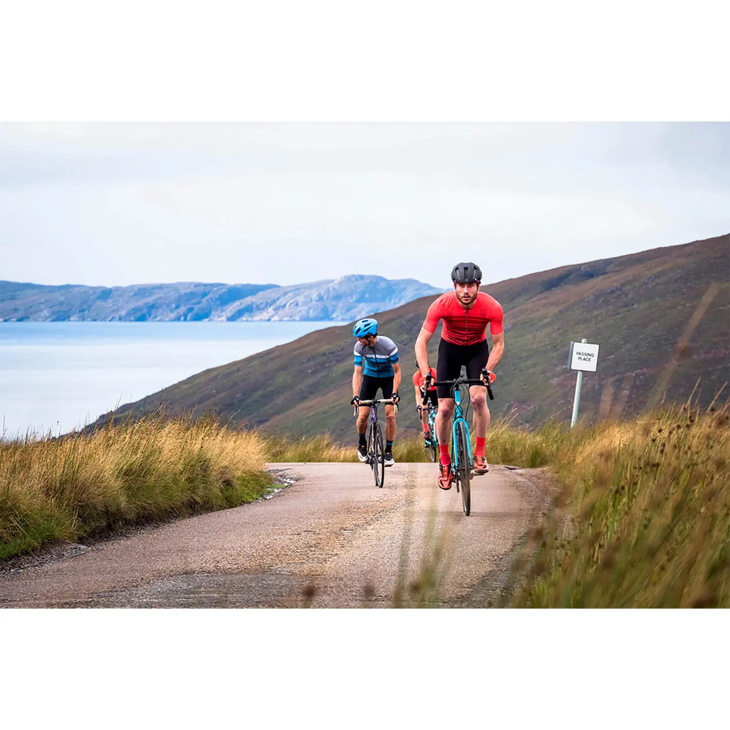  - Endura Pro SL Sock II