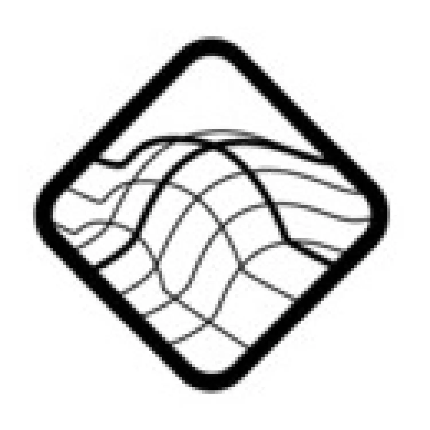  - Scott Glove Gravity LF