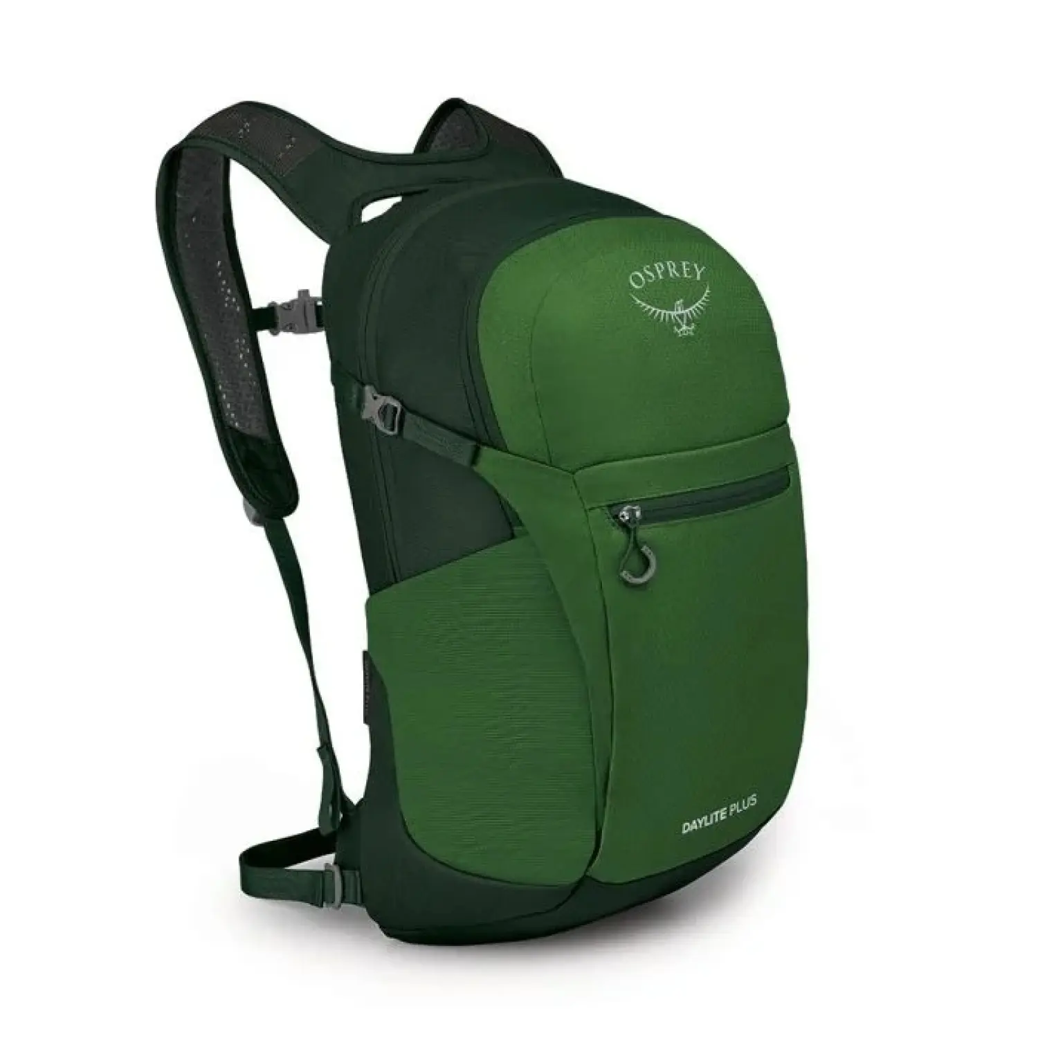 green belt/green canopy - Osprey Daylite Plus 20