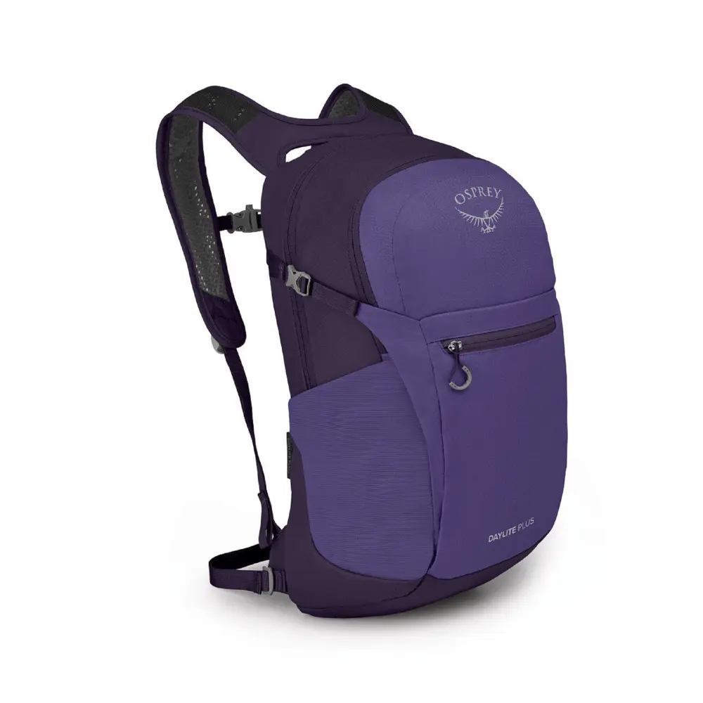 Dream Purple