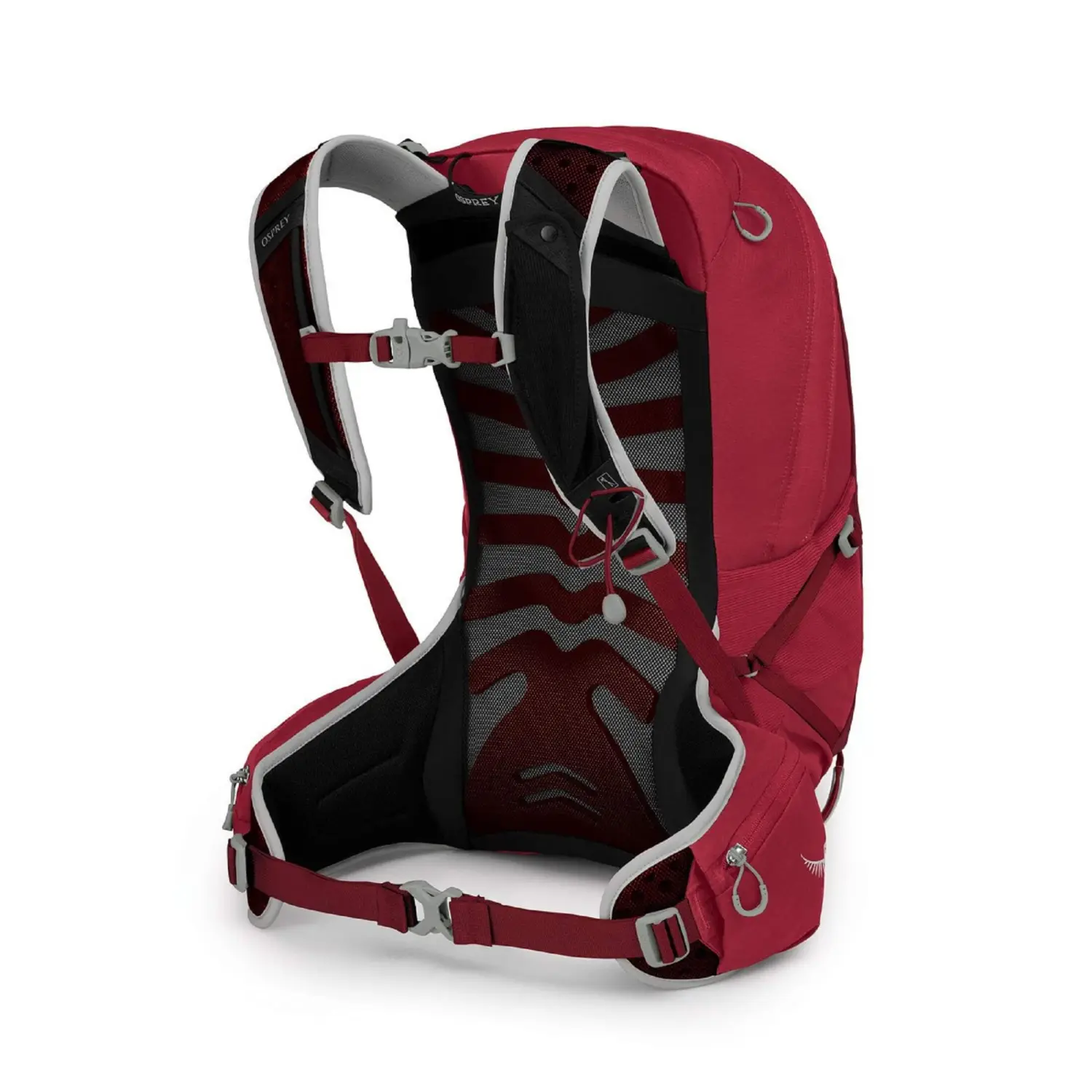  - Osprey Talon 22