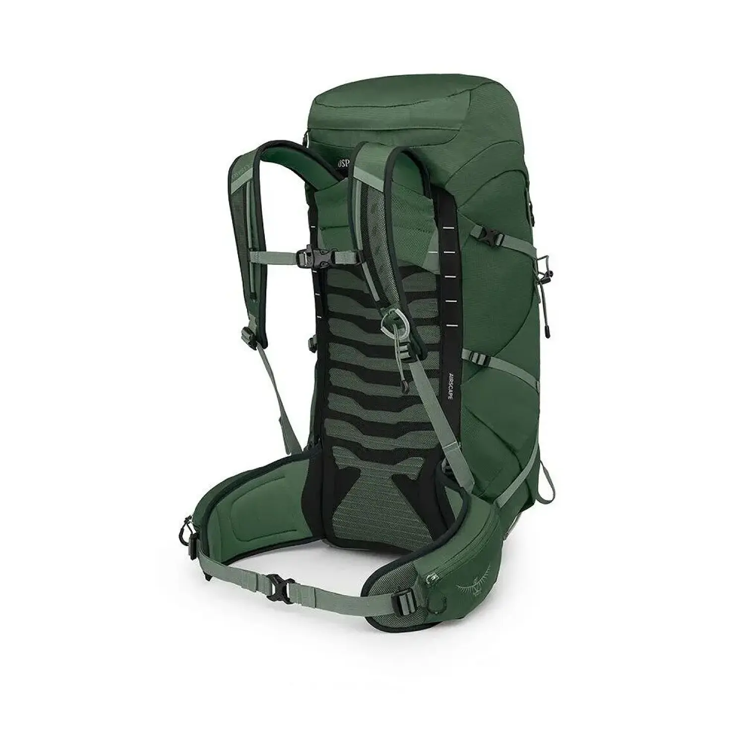 green canopy/pine leaf - Osprey Talon 33