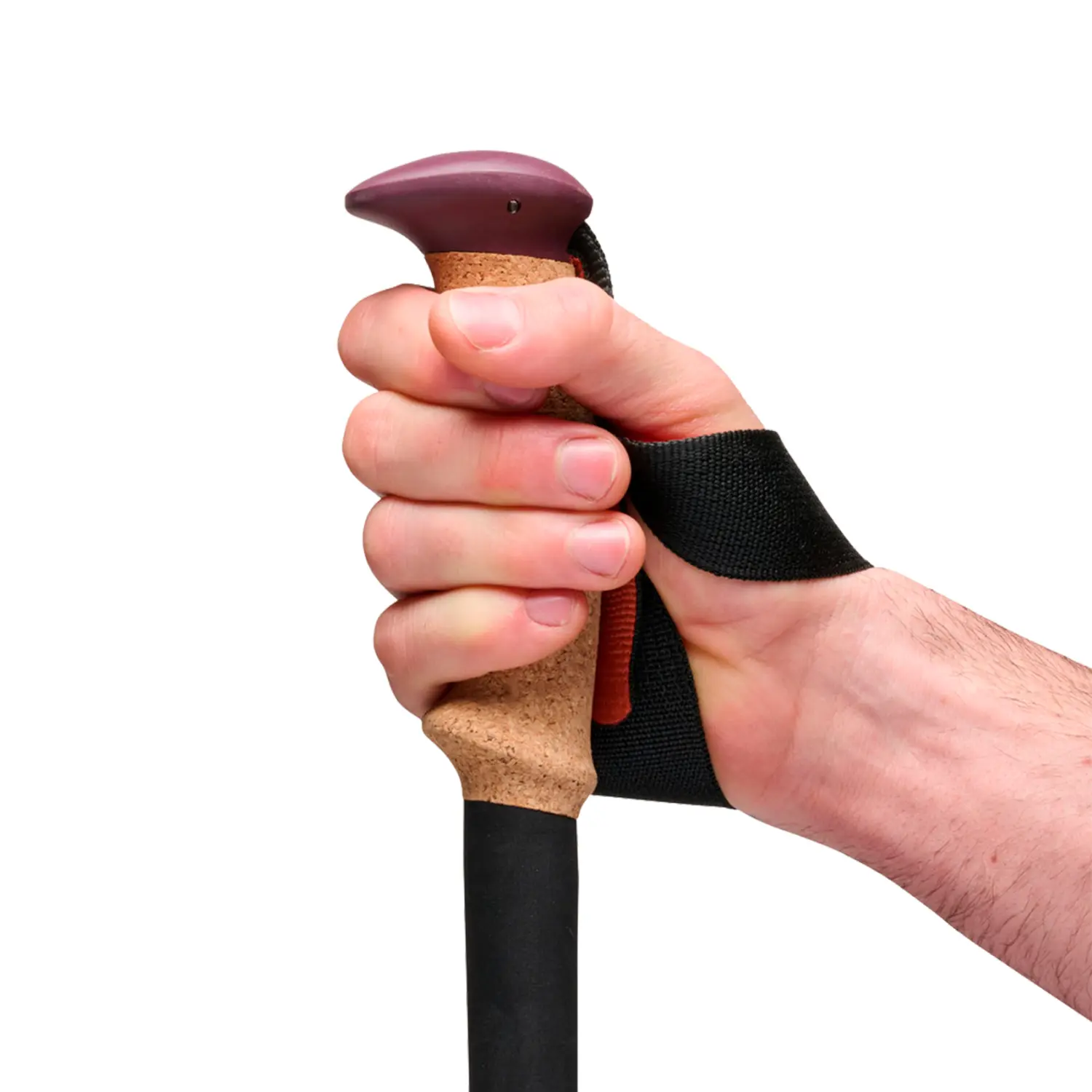  - Black Diamond Trail Cork Trekking Poles