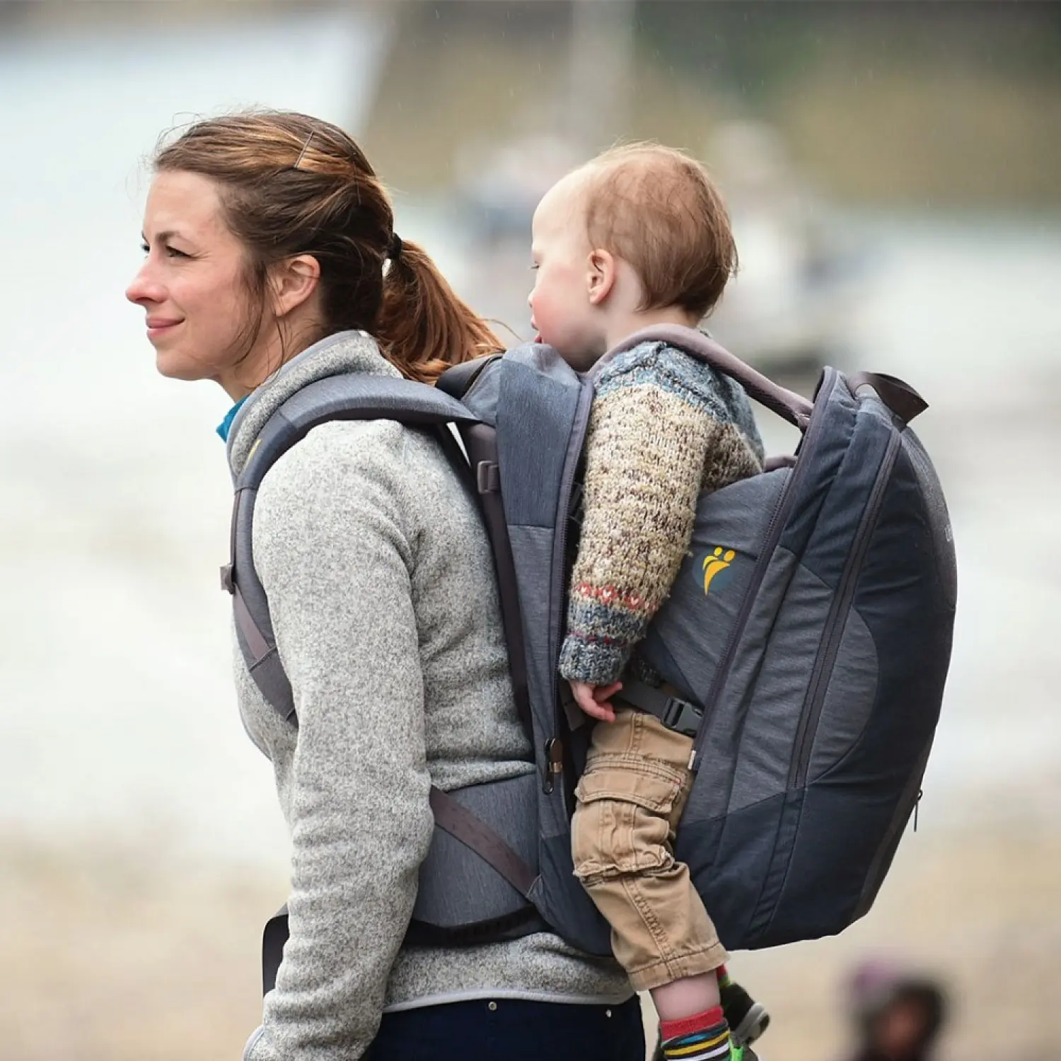  - Littlelife Traveller S4 Carrier