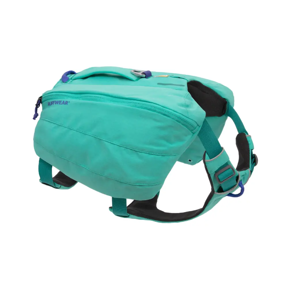Aurora Teal