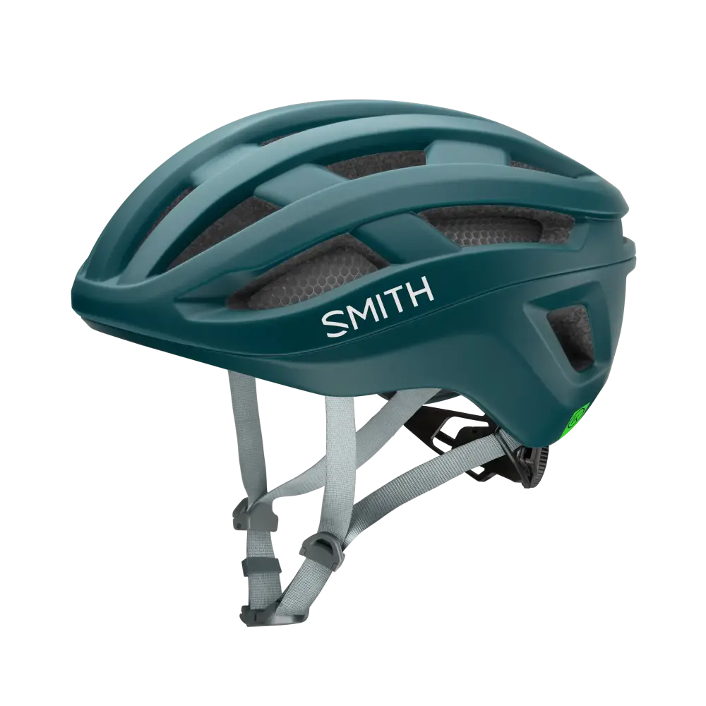 Smith Persist MIPS