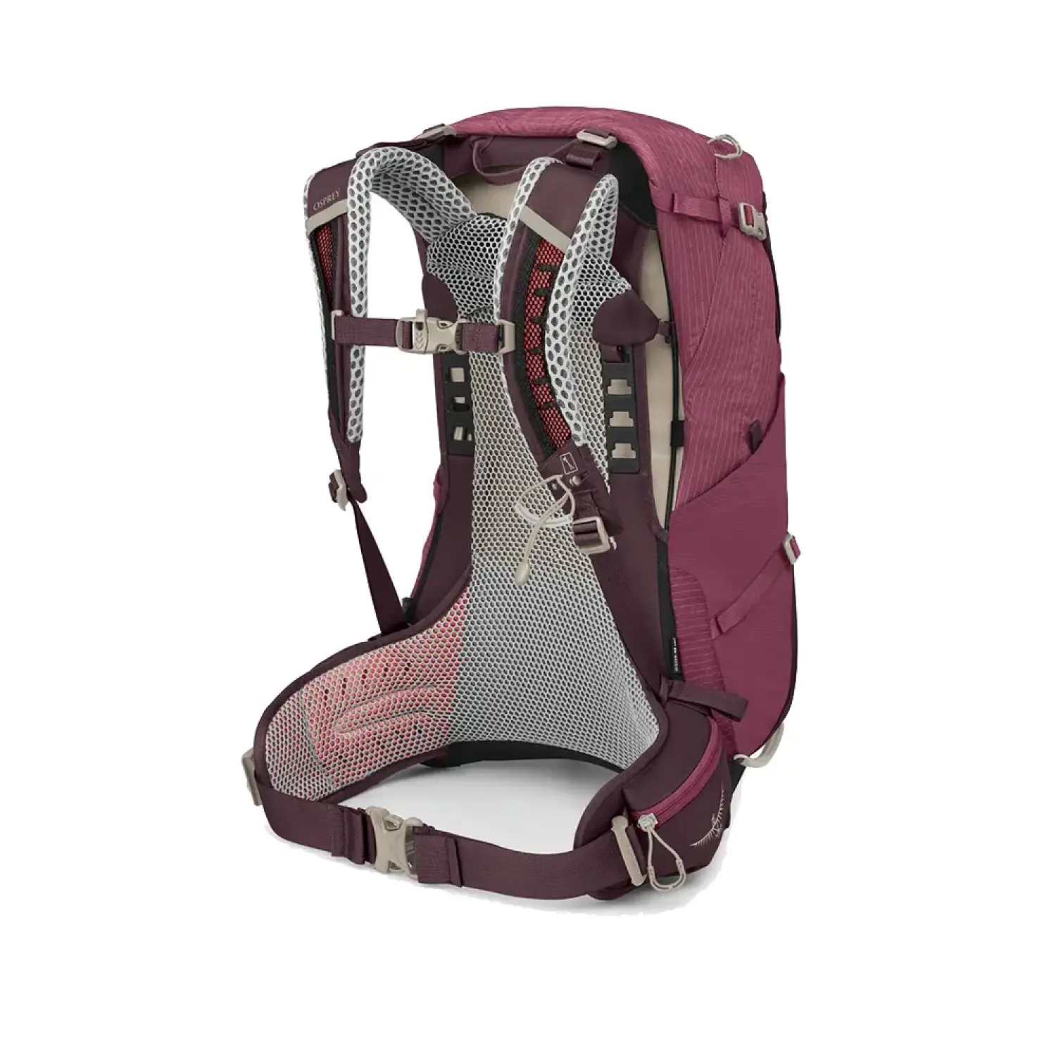 elderberry purple chiru tan - Osprey Sirrus 24