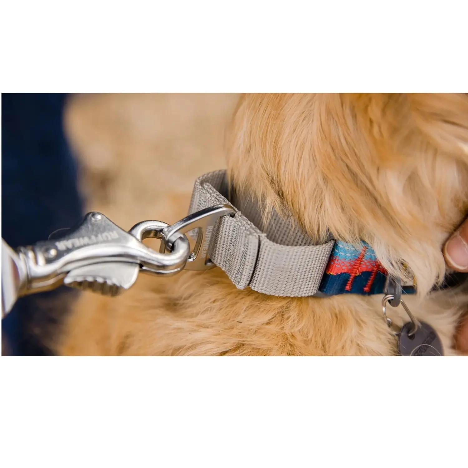  - Ruffwear Web Reaction™ Collar