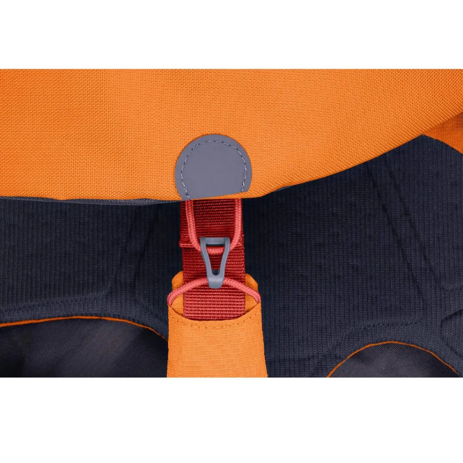  - Ruffwear Approach™ Pack