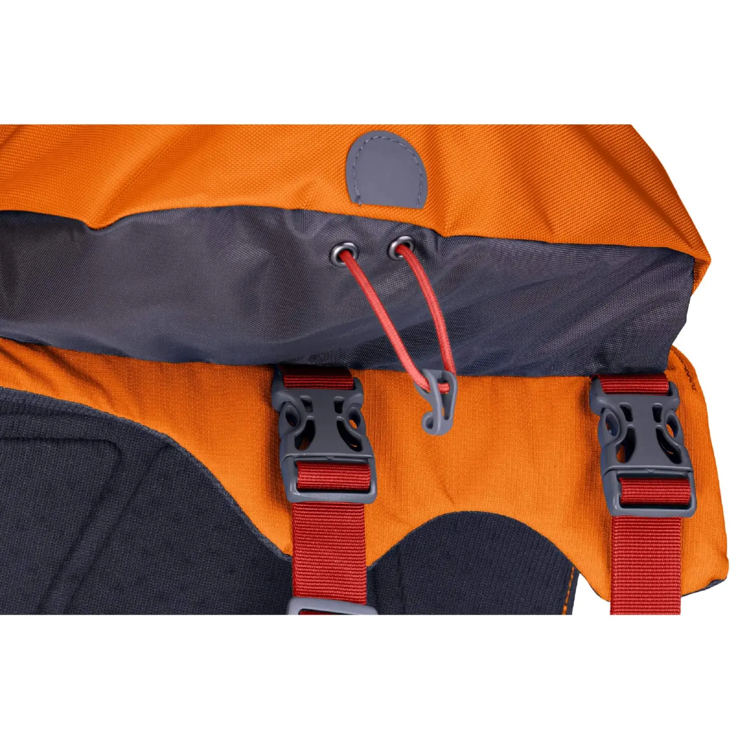  - Ruffwear Approach™ Pack