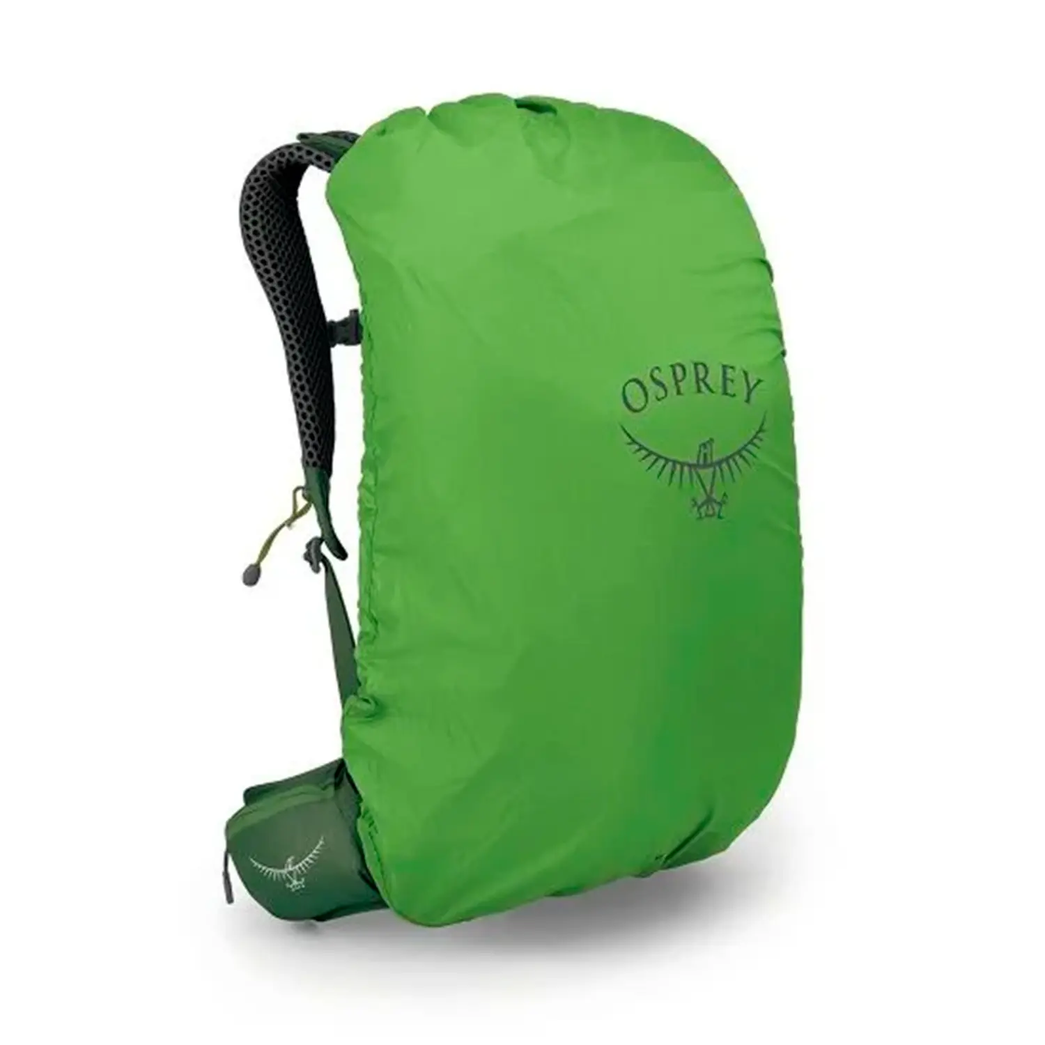 seaweed/matcha green - Osprey Stratos 24L
