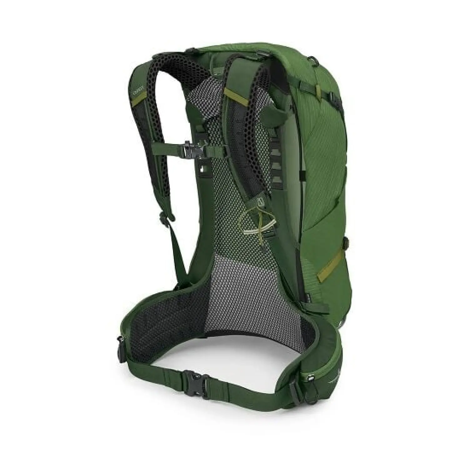 seaweed/matcha green - Osprey Stratos 24L