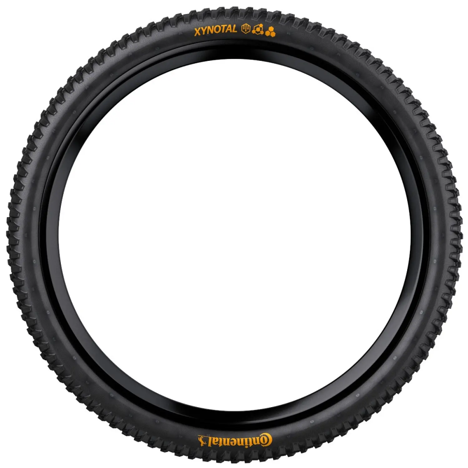  - Continental Xynotal Foldable