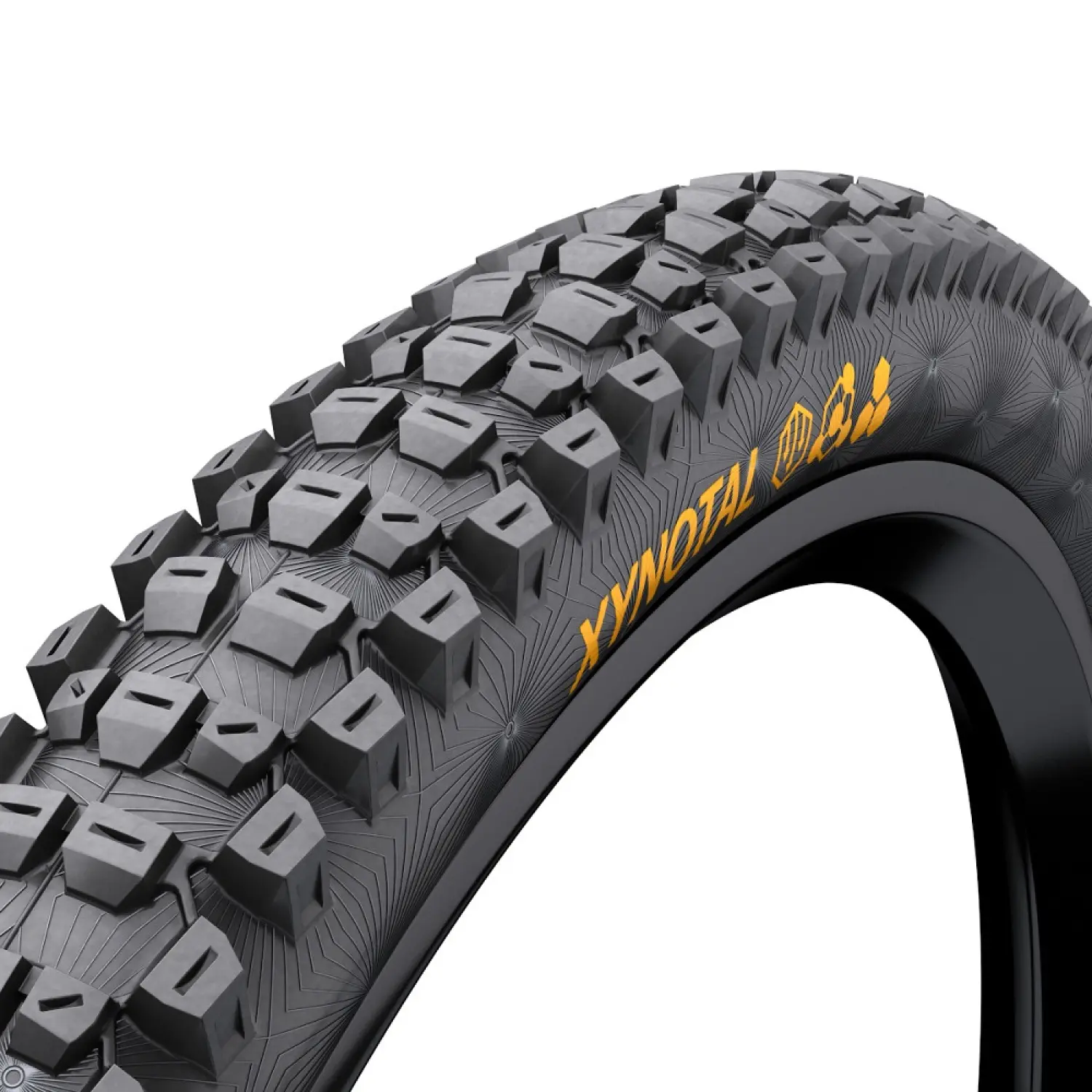  - Continental Xynotal Foldable