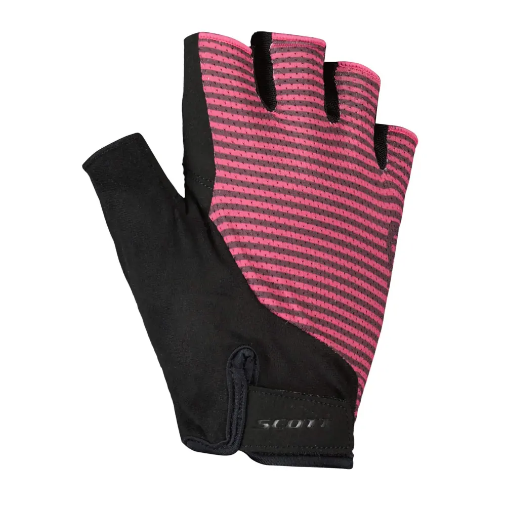 Dark Purple/carmine Pink