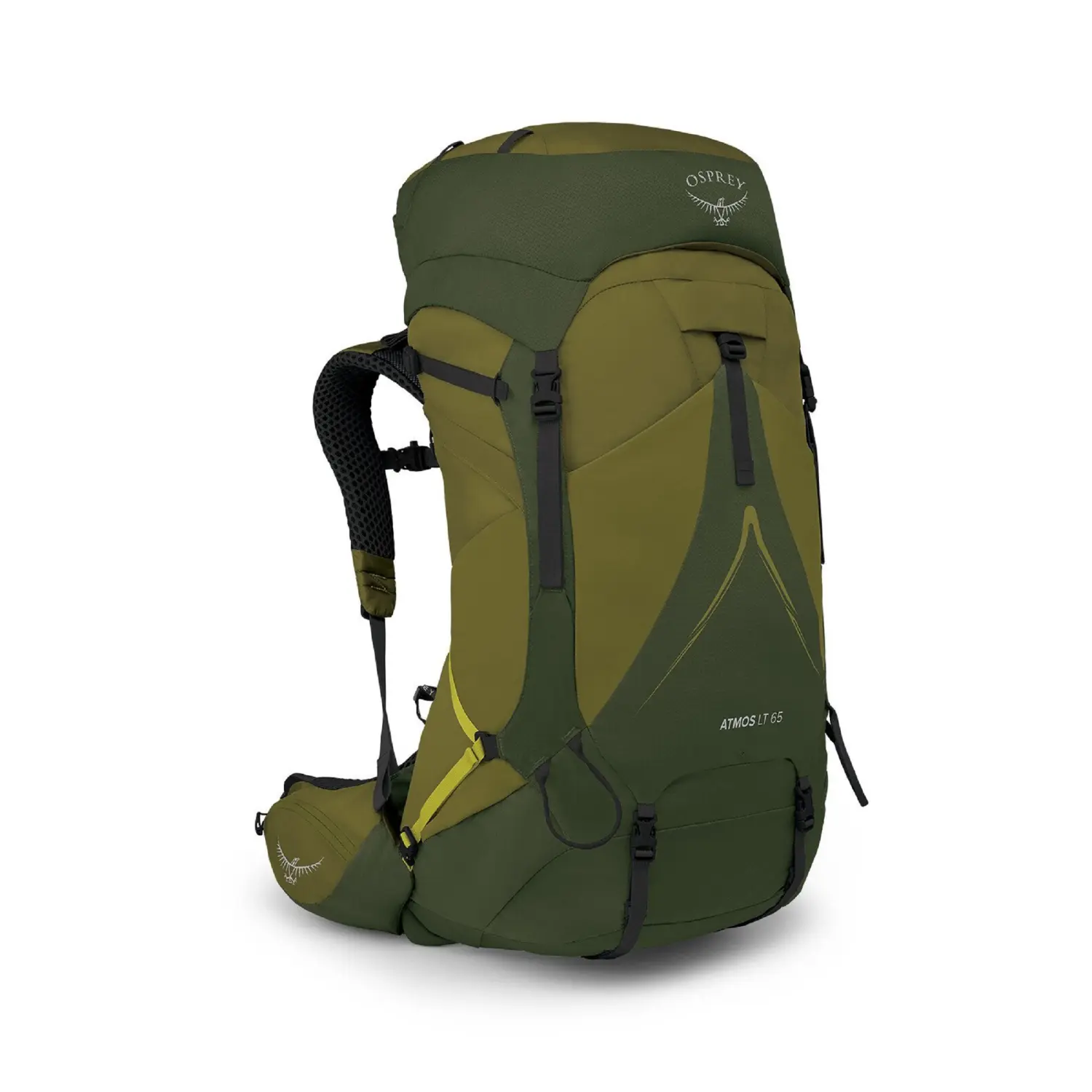 scenic valley/green peppercorn - Osprey Atmos AG LT 65