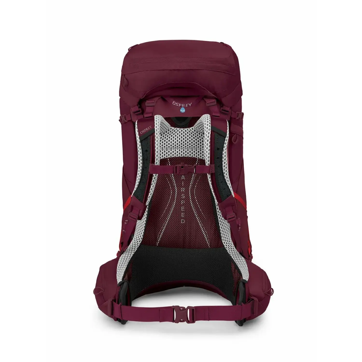 antidote purple - Osprey Aura AG LT 65