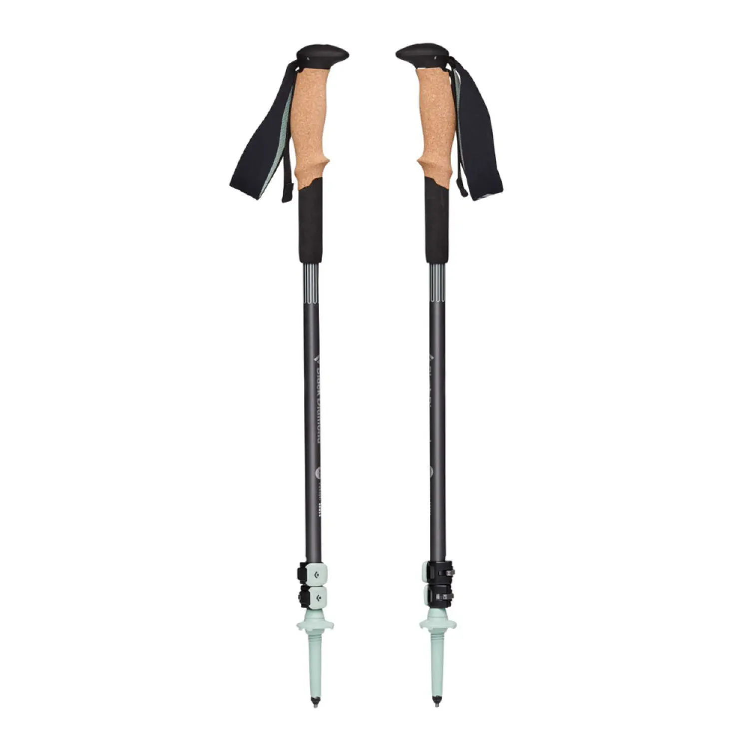 steel grey-foam green - Black Diamond Pursuit Shock Trekking Poles