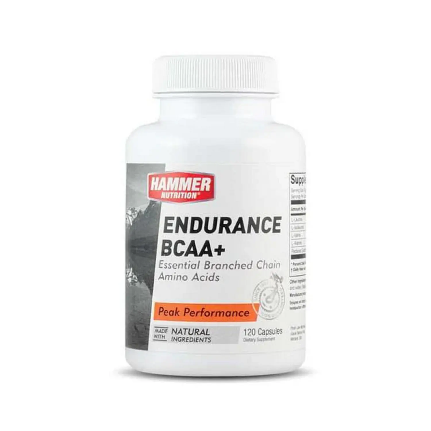  - Hammer Nutrition Endurance BCAA+ (Aminoacidos)