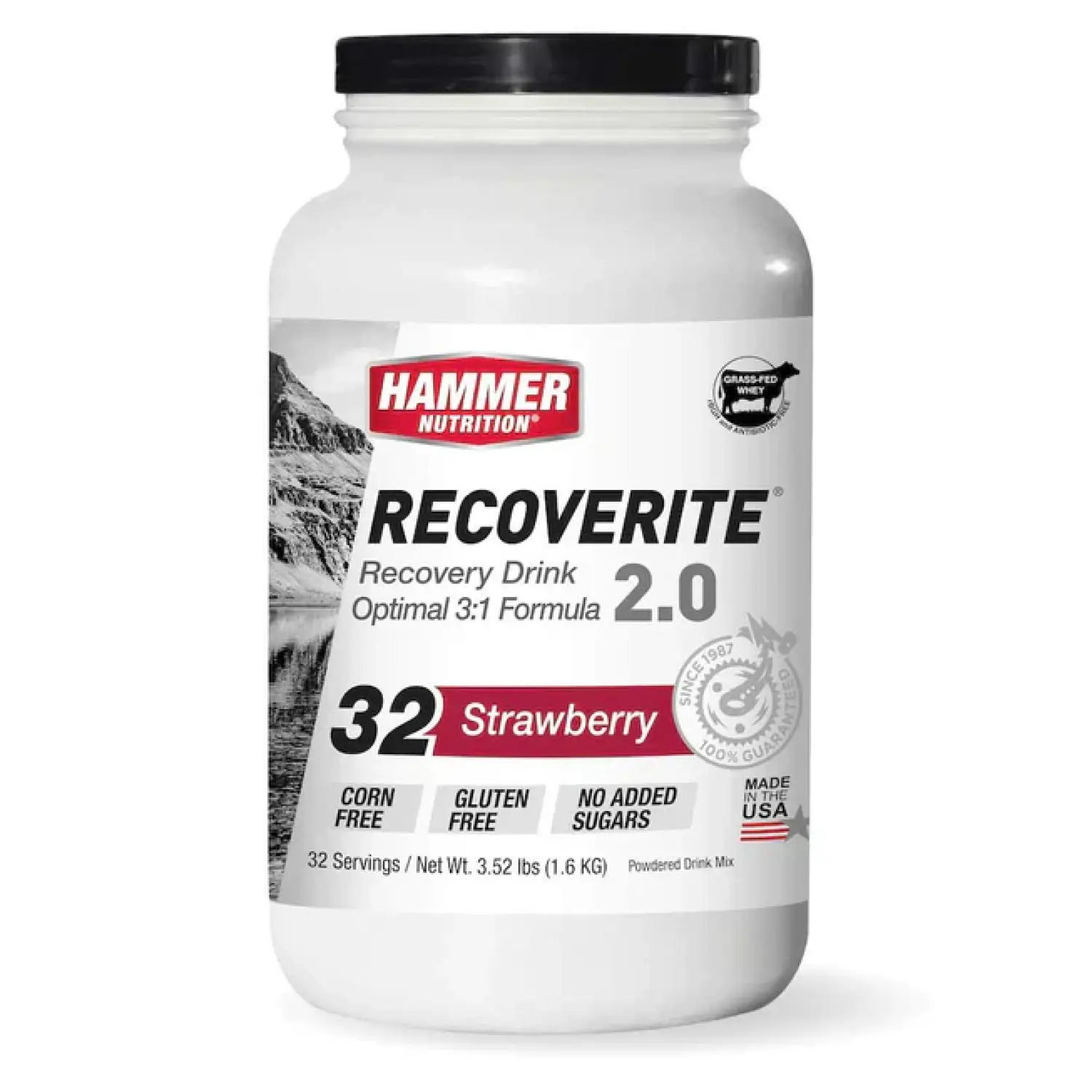 strawberry - Hammer Nutrition Recoverite