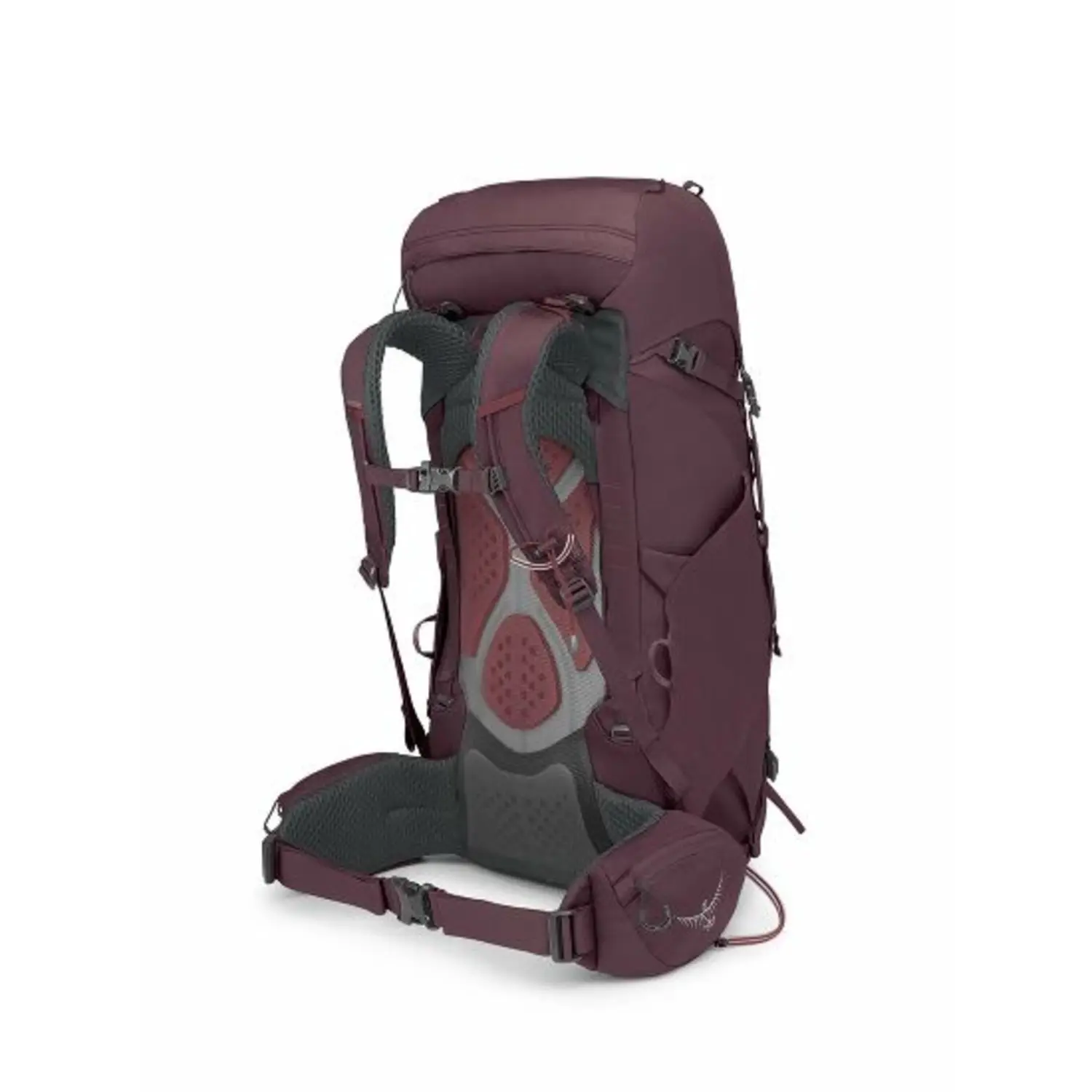 elderberry purple - Osprey Kyte 38