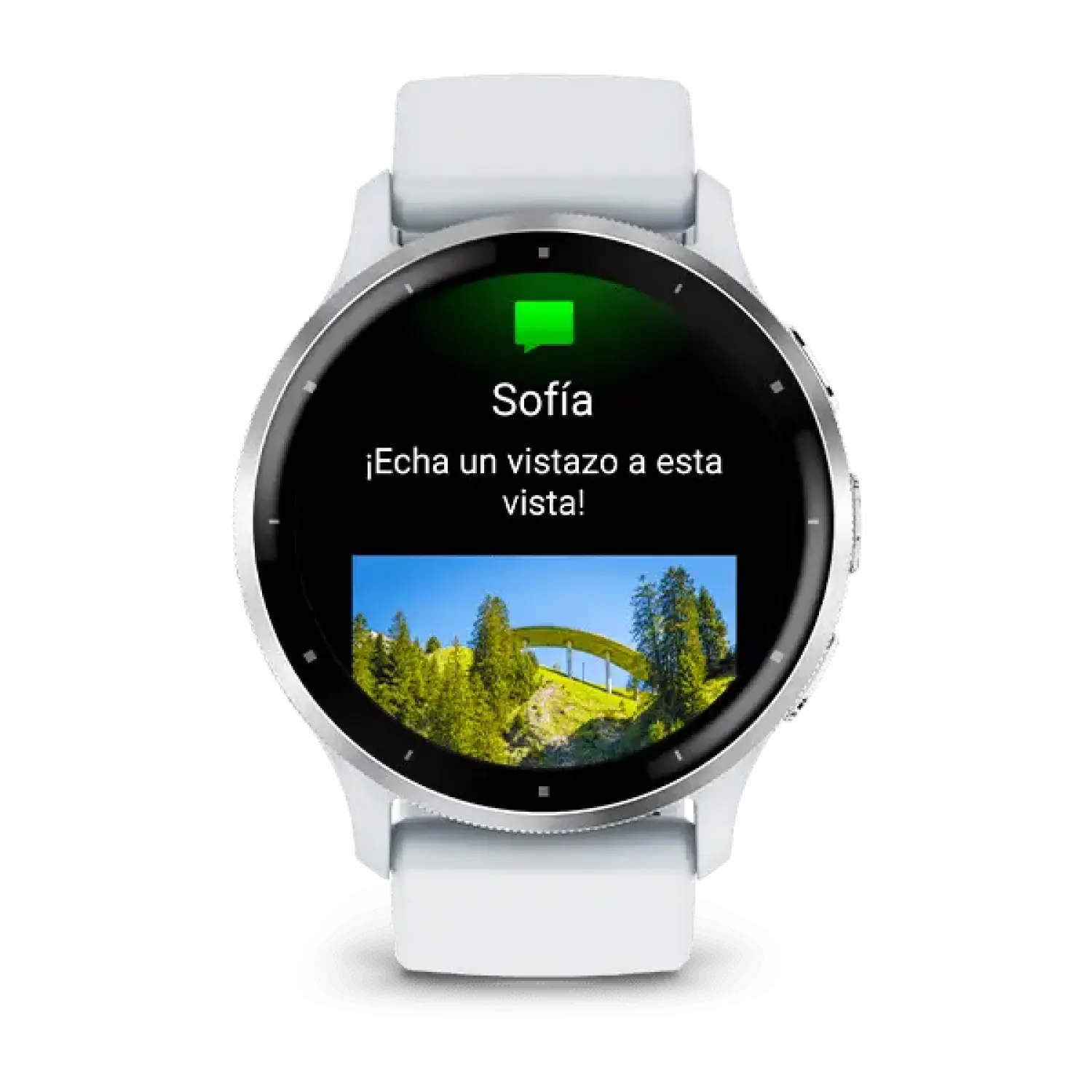 silver bezel with whitestone case - Garmin Venu 3