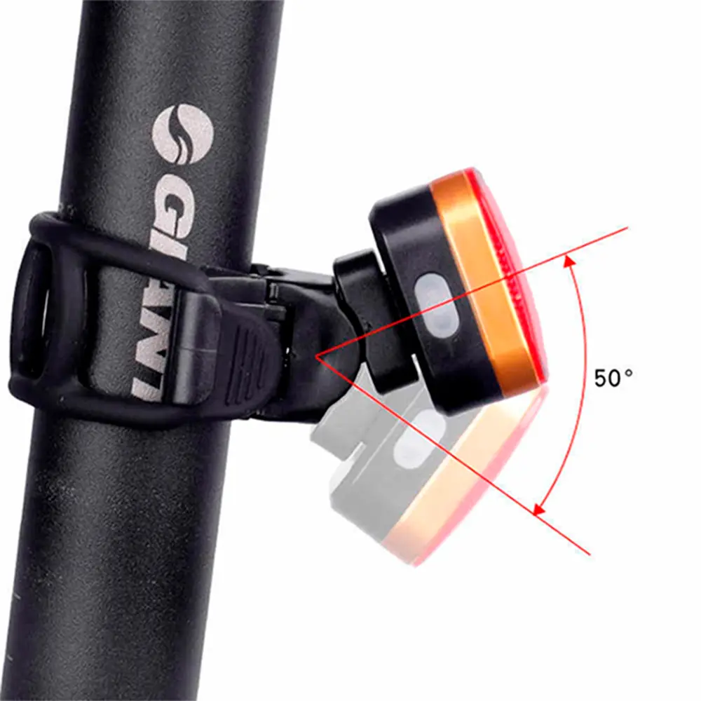 Raypal Taillight