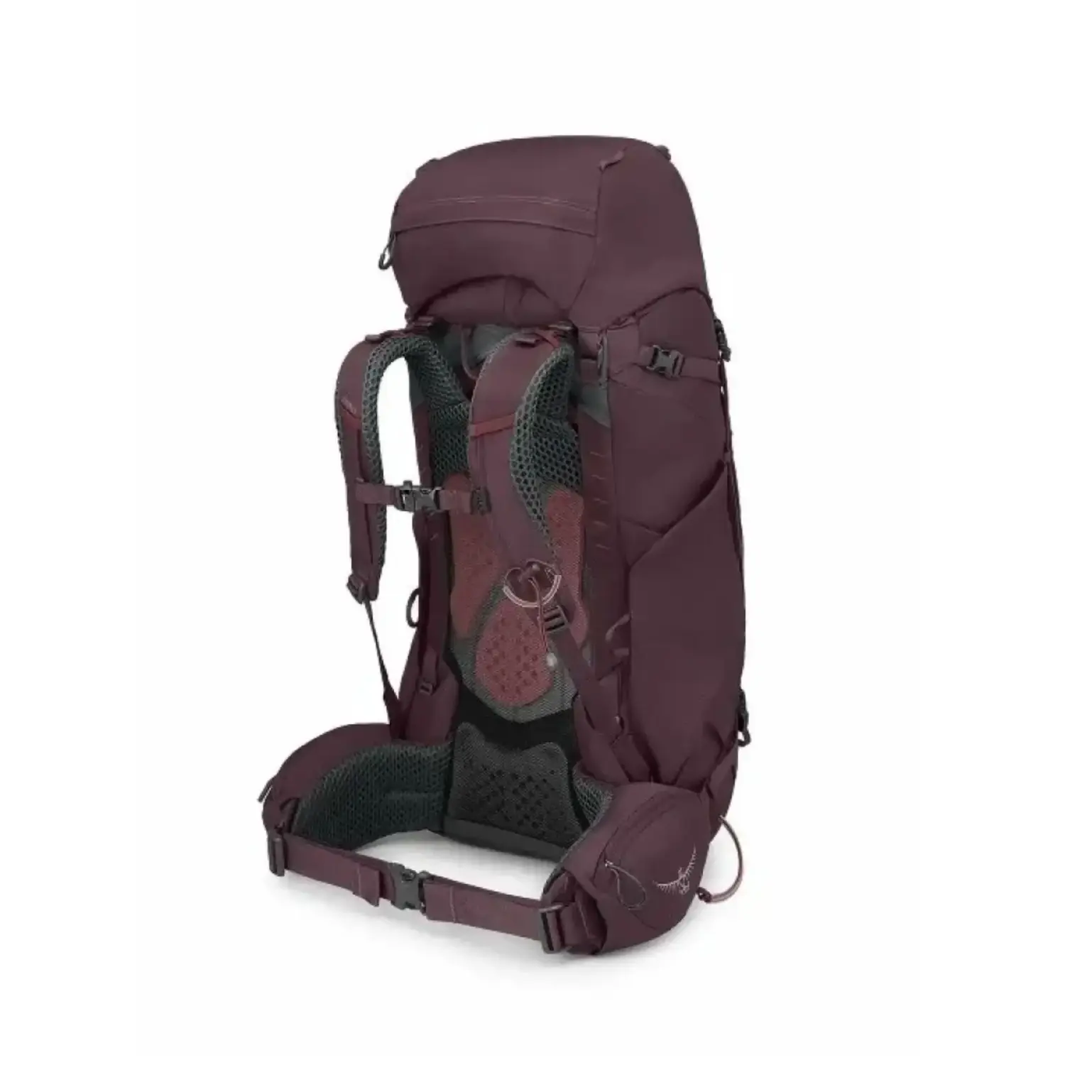 elderberry purple - Osprey KYTE 58