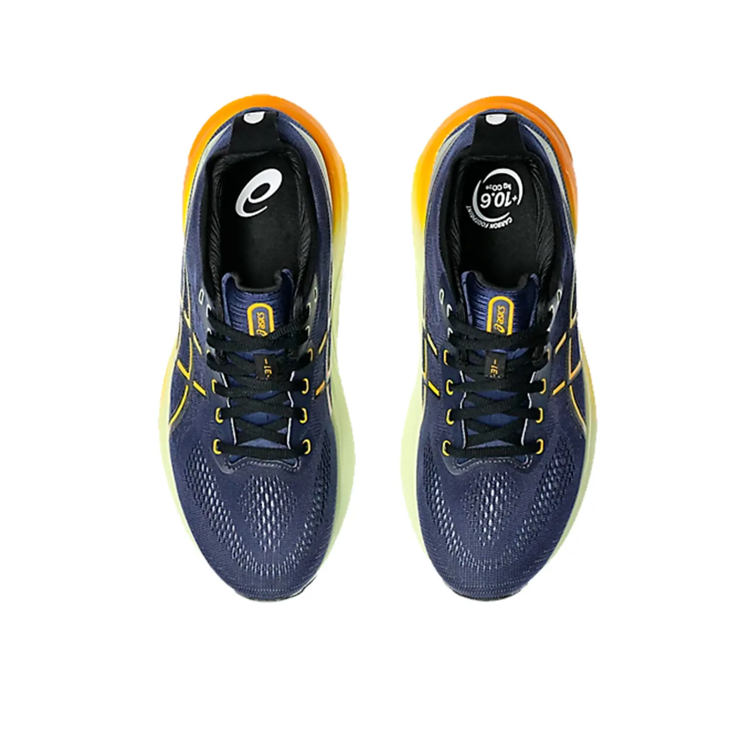  - Asics GEL Kayano 31 M's