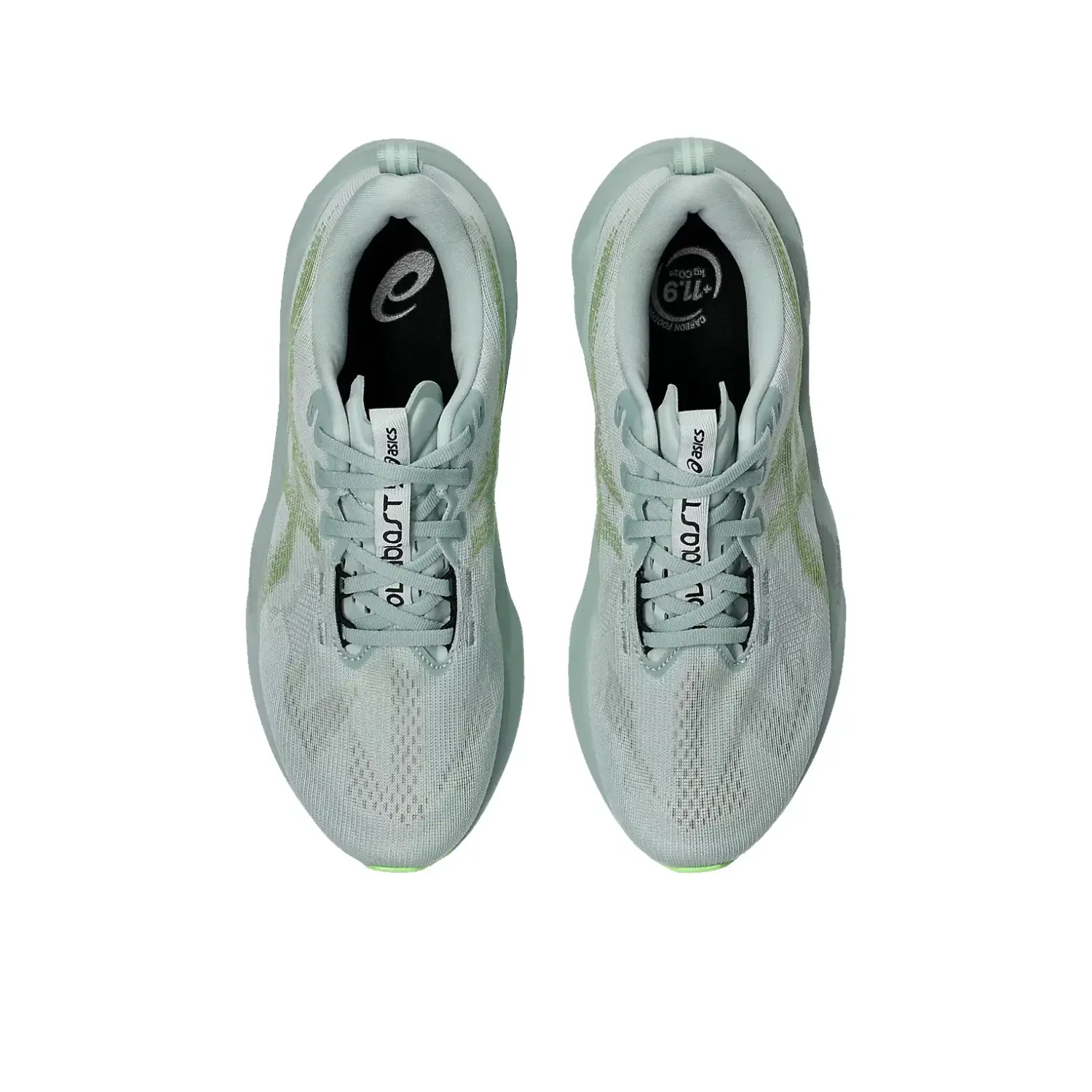 cold moss/light orange - Asics Novablast 5 M's