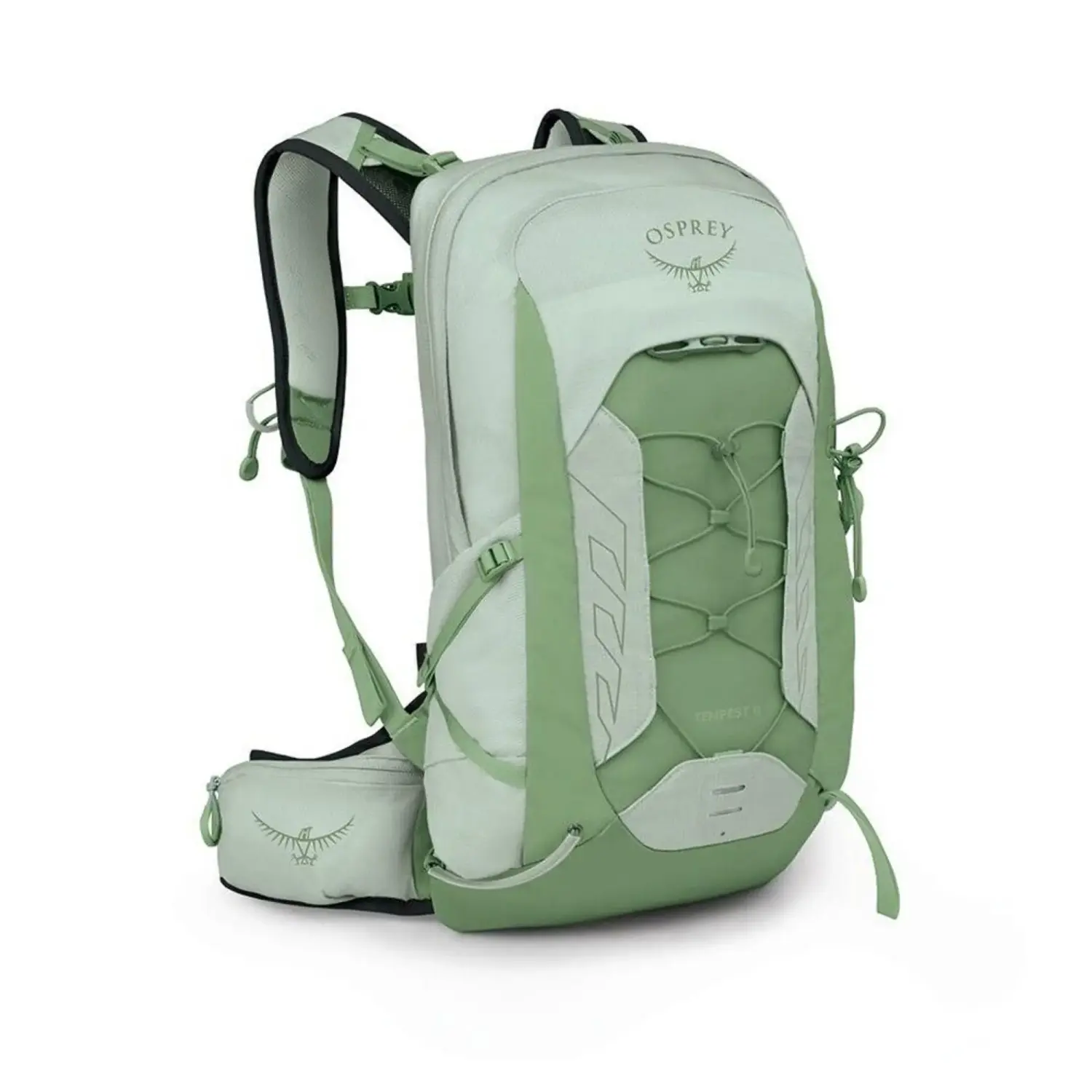 frosty mint green/botanica - Osprey Tempest 11
