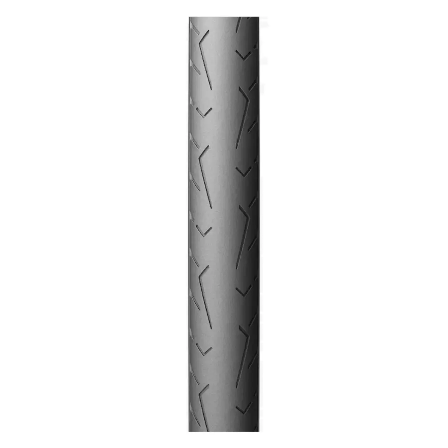  - Pirelli Cinturato EVO TLR