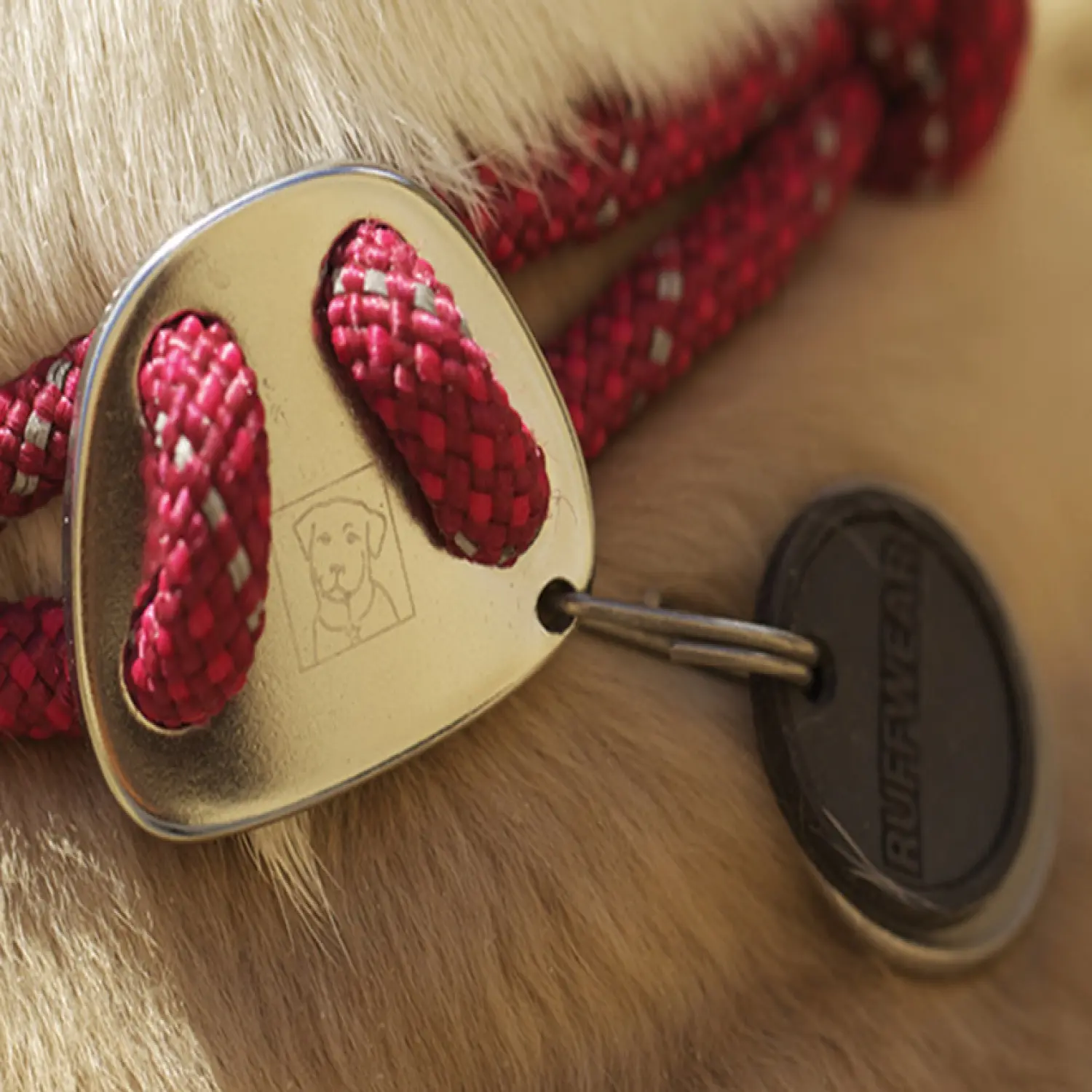  - Ruffwear Knot-a-Collar™