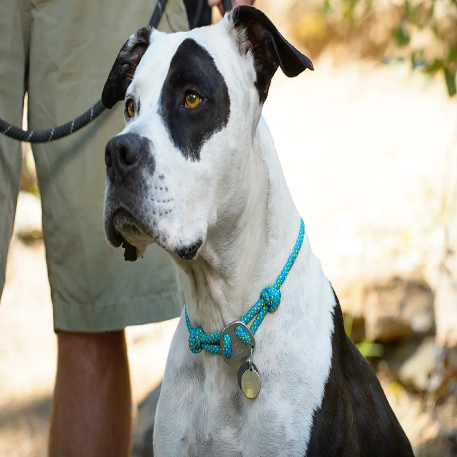  - Ruffwear Knot-a-Collar™
