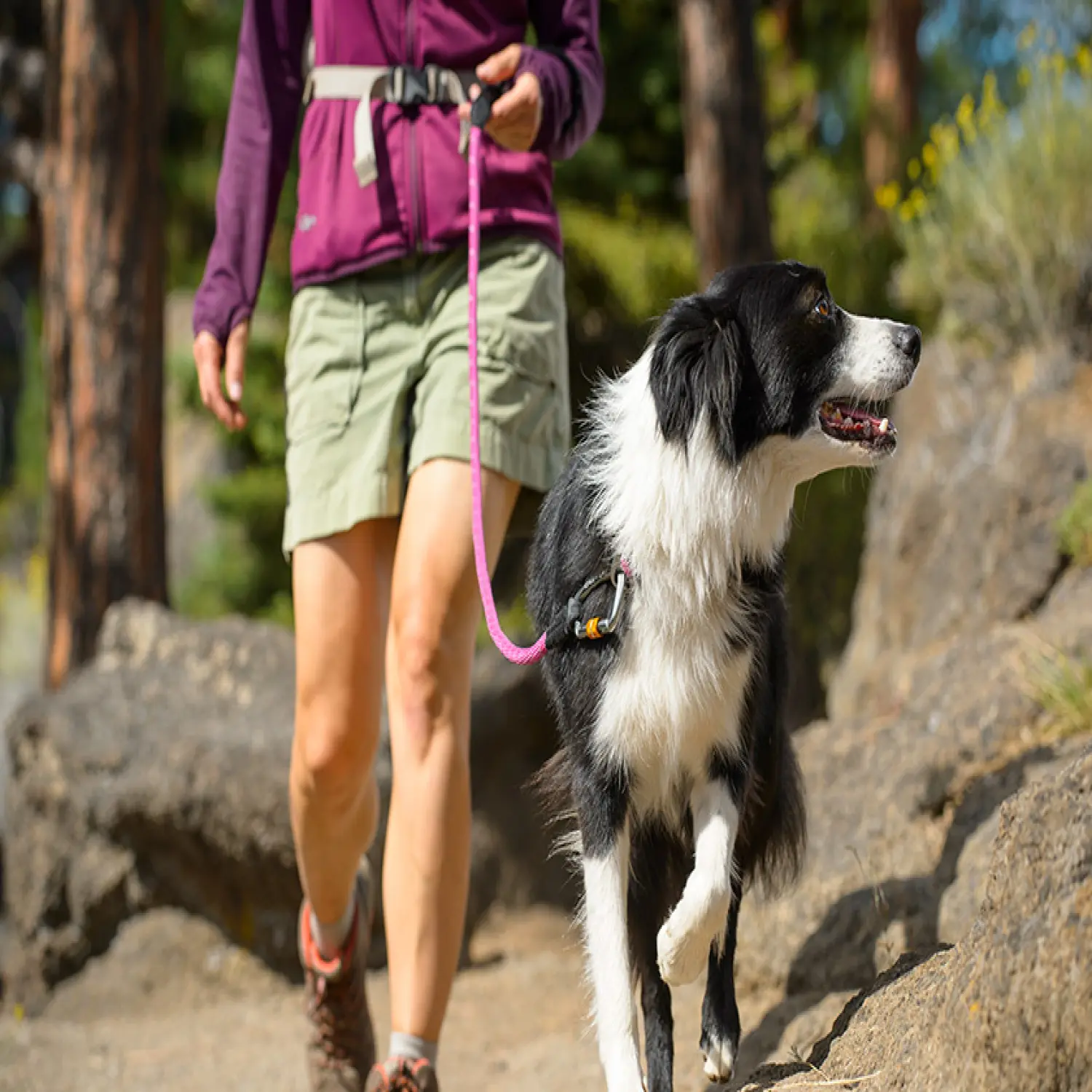  - Ruffwear Knot-a-Leash™
