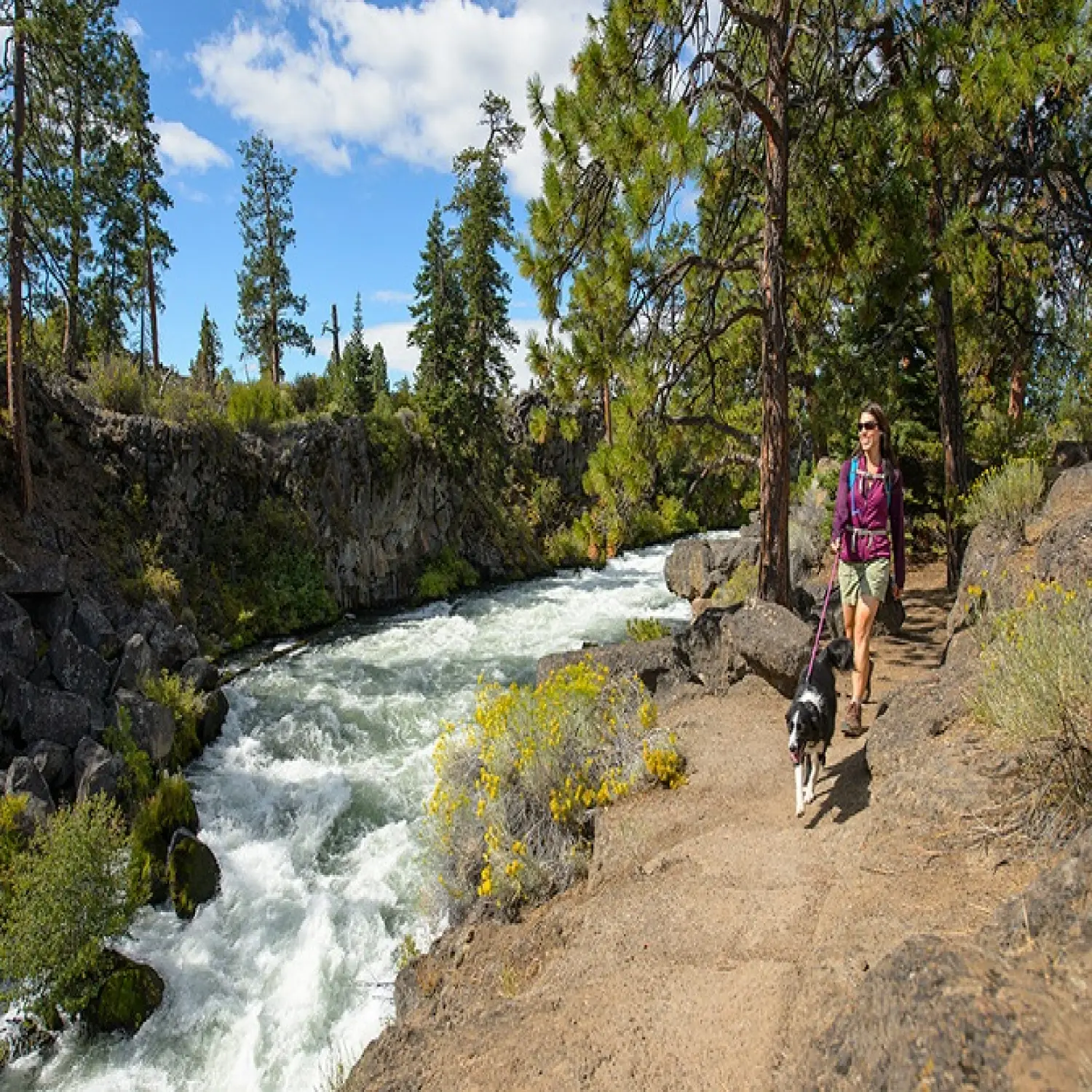  - Ruffwear Knot-a-Leash™