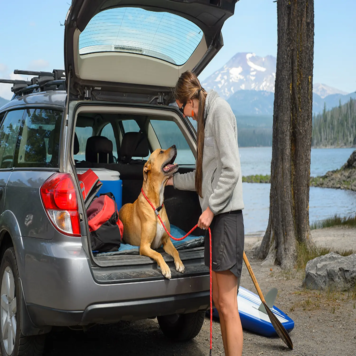  - Ruffwear Just-a-Cinch™