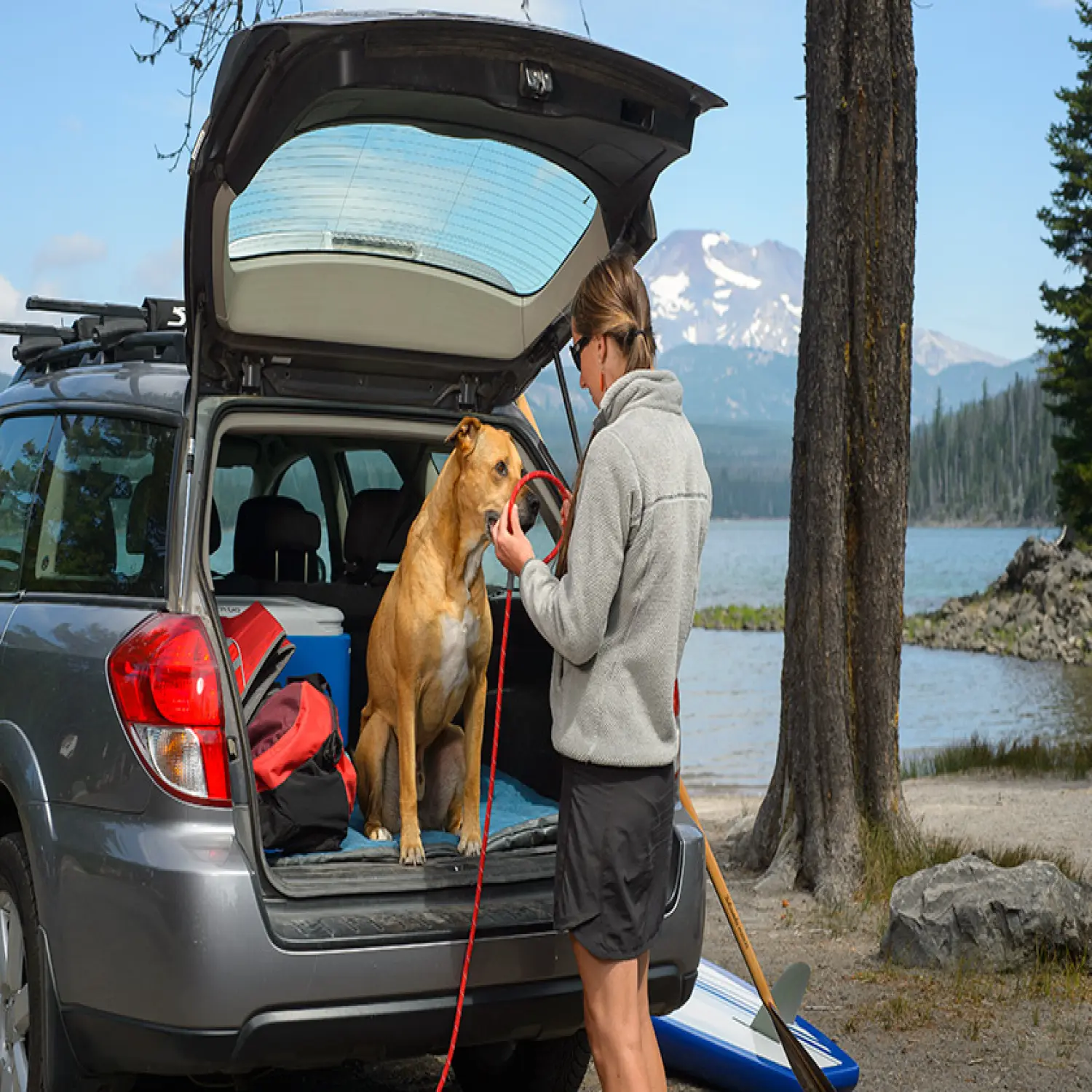  - Ruffwear Just-a-Cinch™