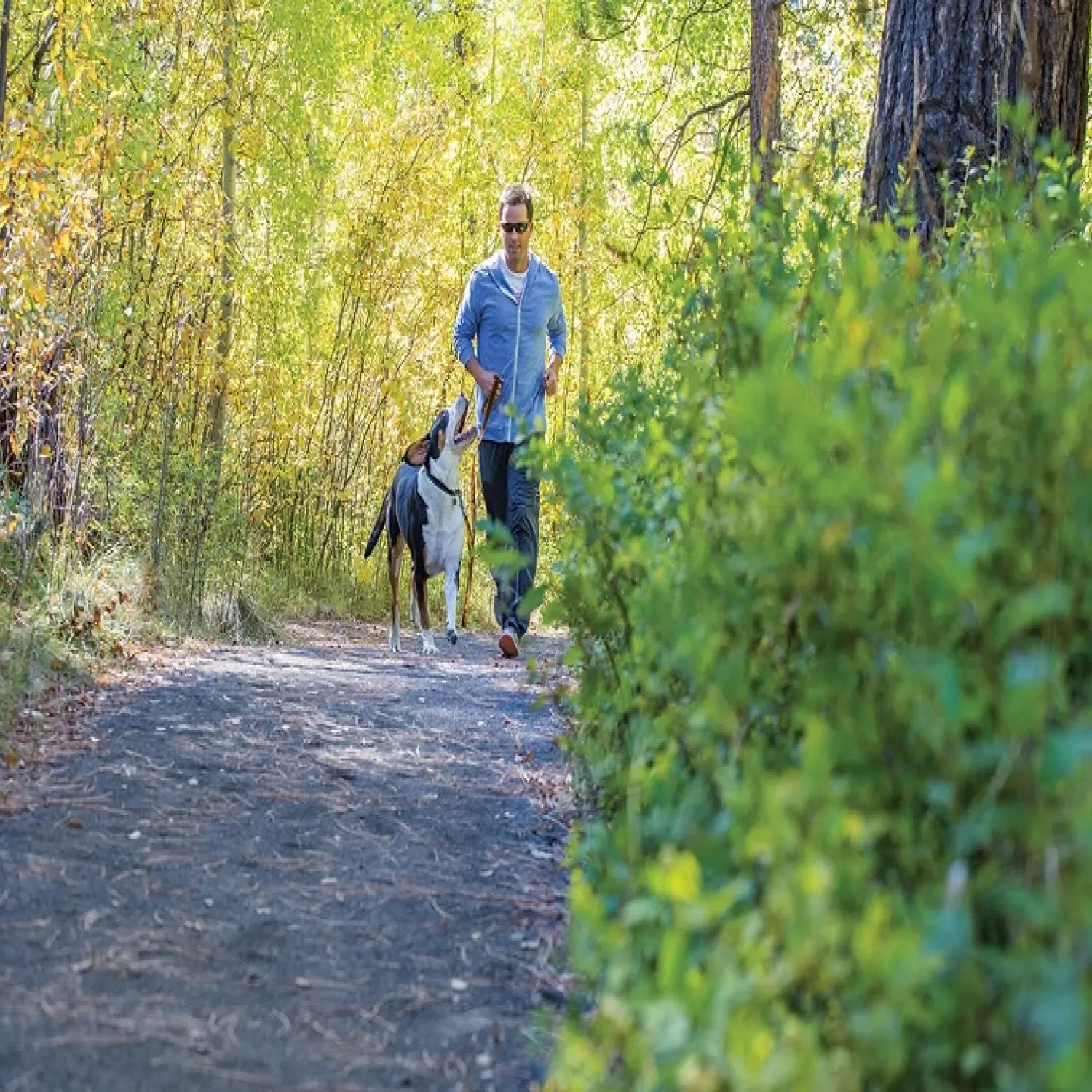  - Ruffwear Flat Out™ Leash