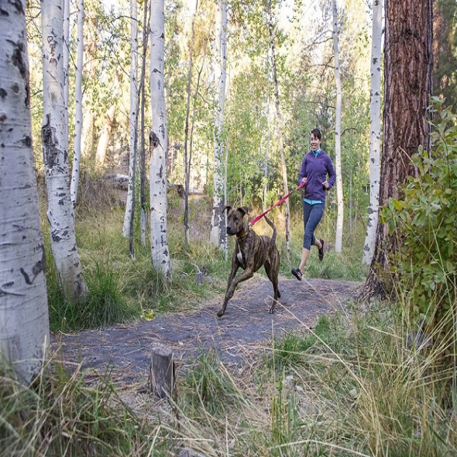  - Ruffwear Flat Out™ Leash